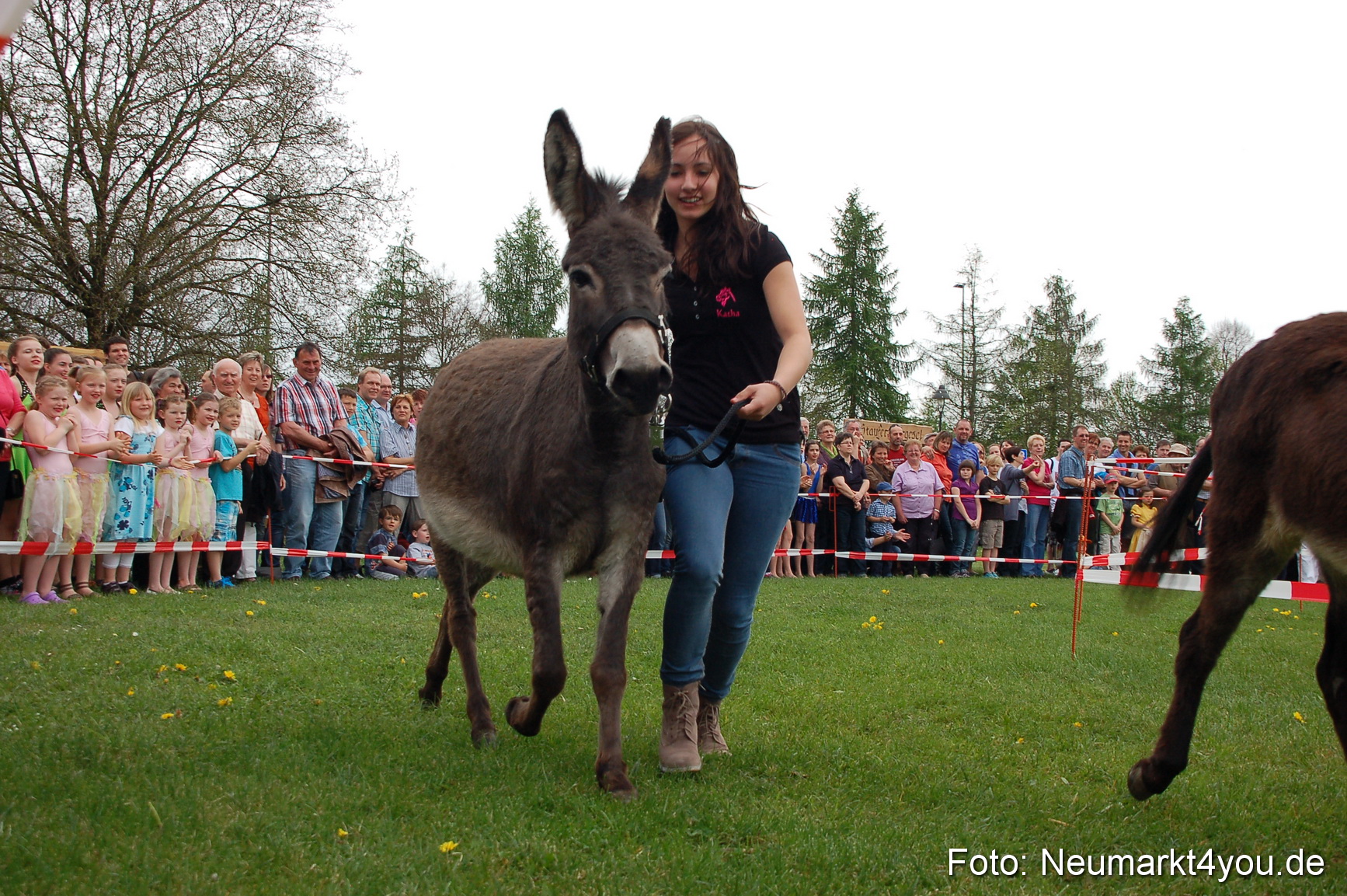 Eselrennen Fruehlingsfest 2012 0127