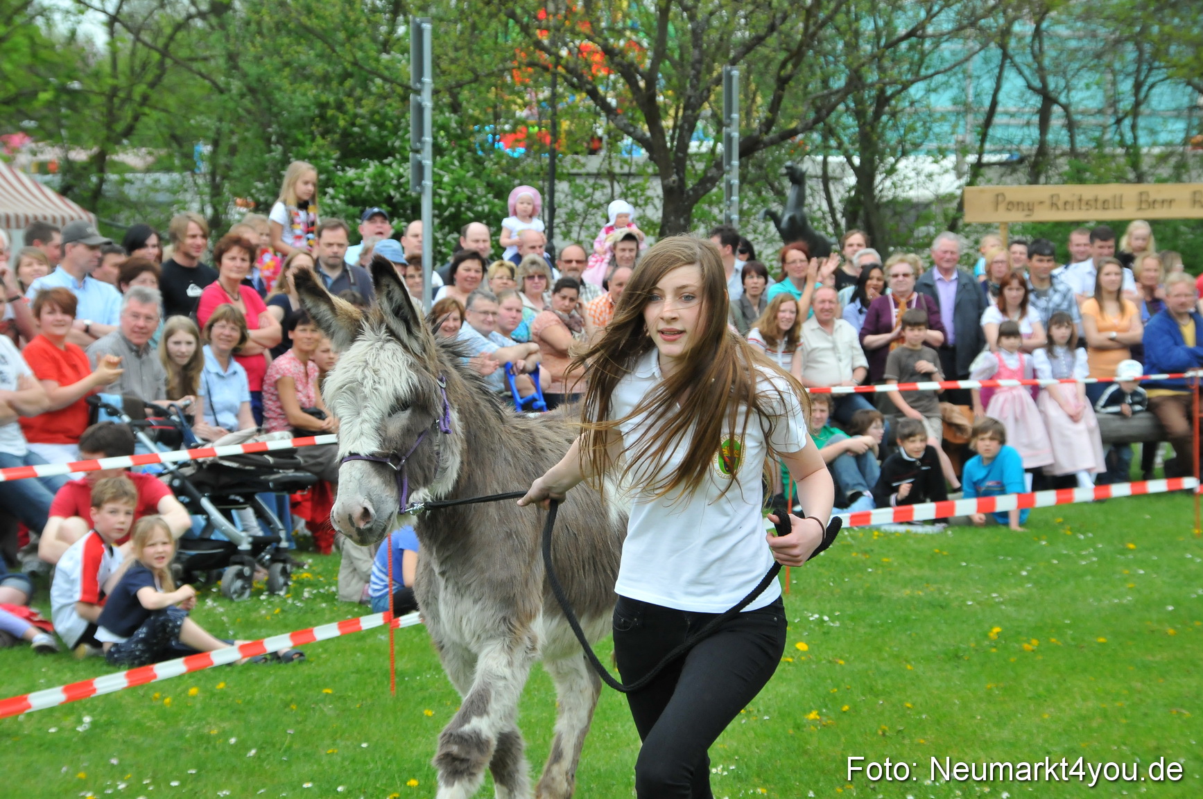 Eselrennen Fruehlingsfest 2012 0141
