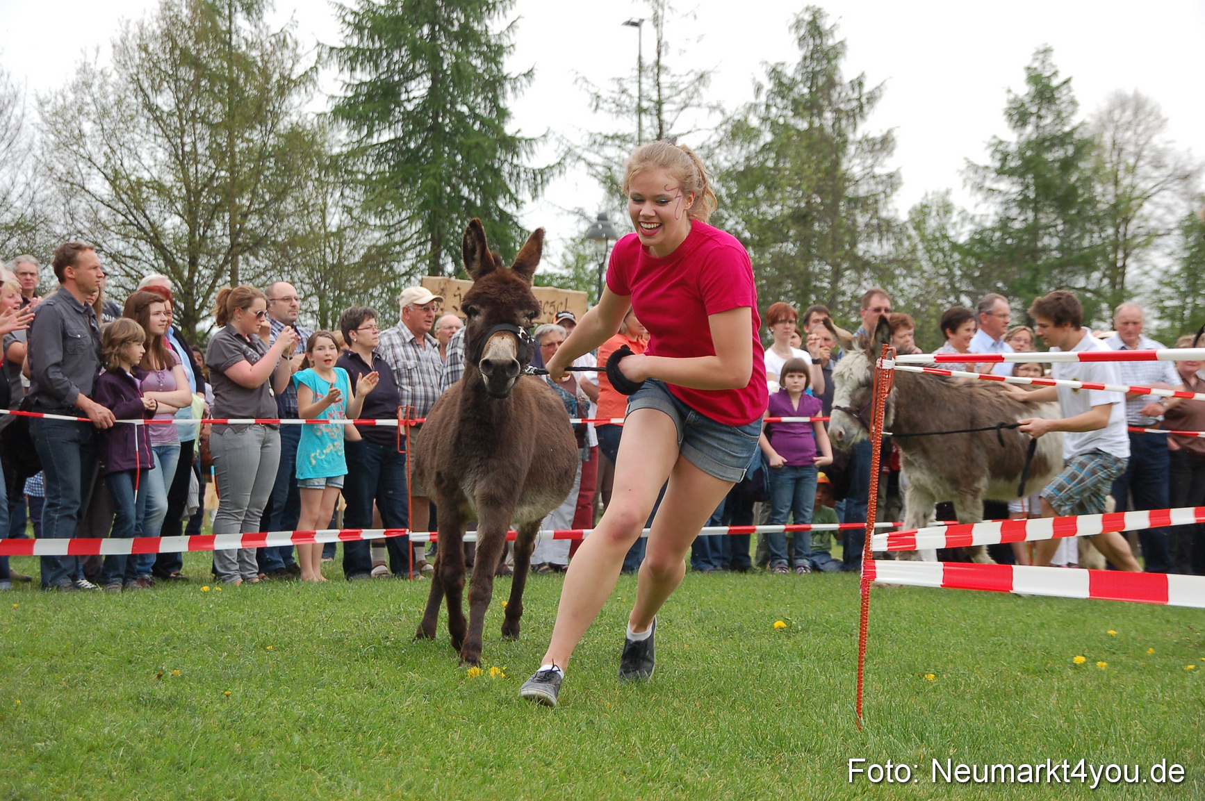 Eselrennen Fruehlingsfest 2012 0142