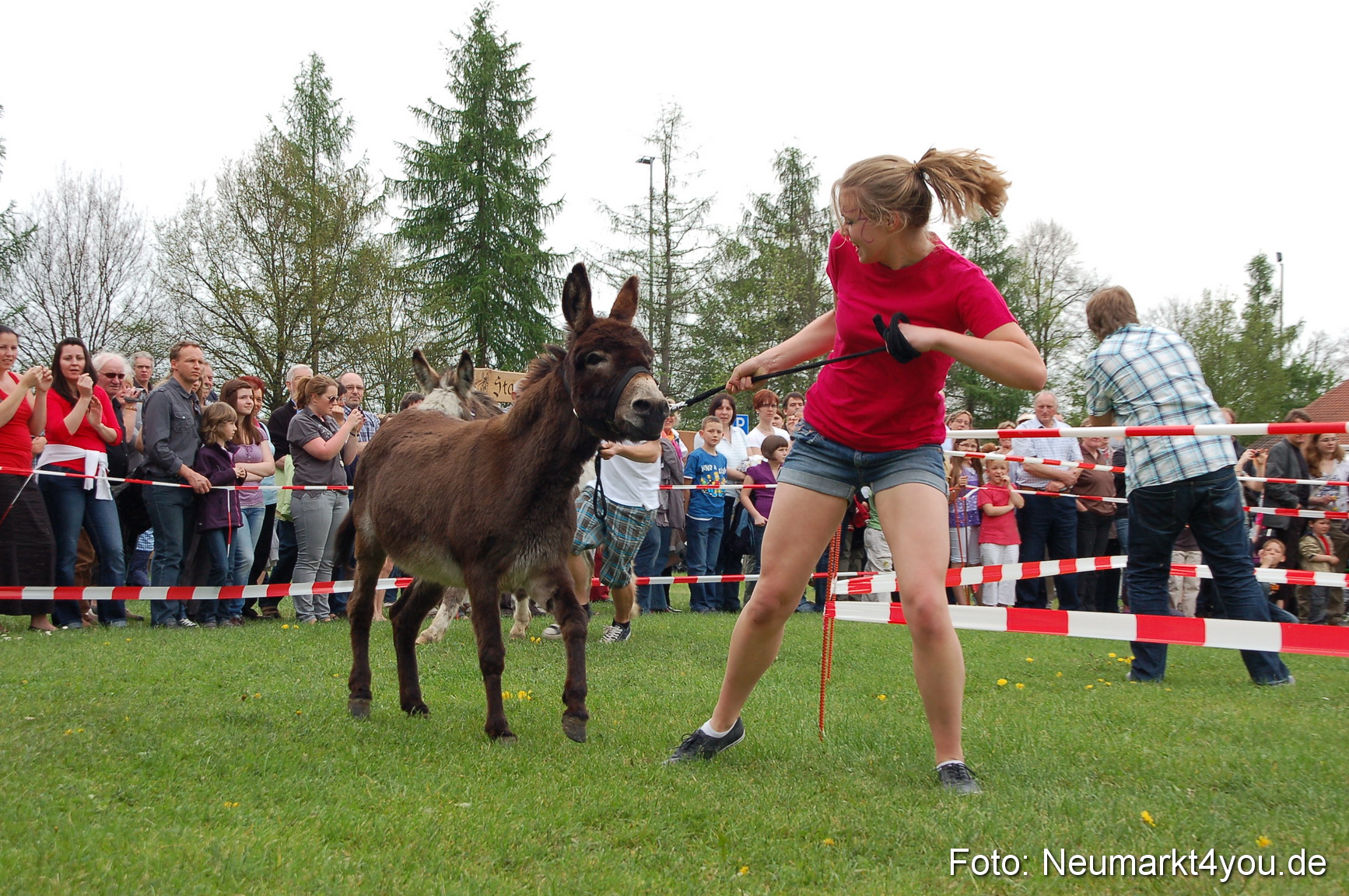 Eselrennen Fruehlingsfest 2012 0143