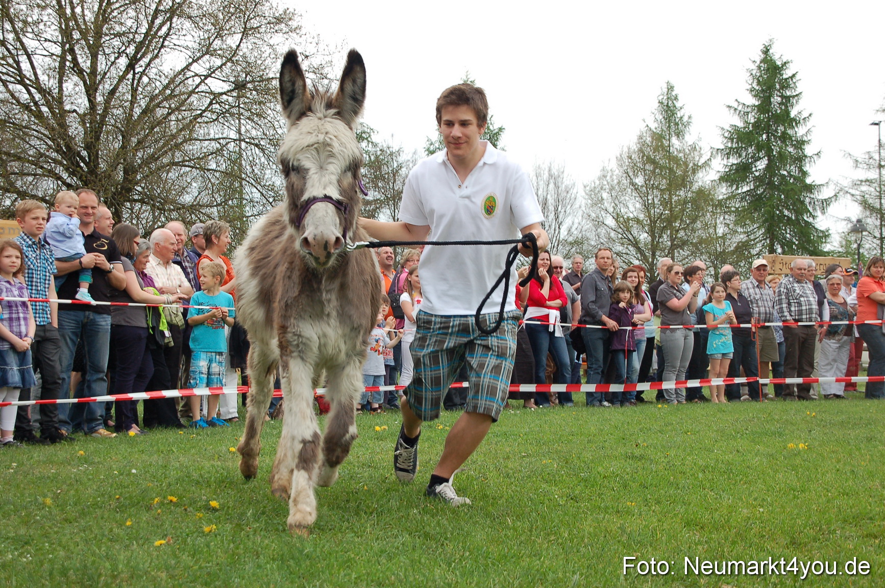 Eselrennen Fruehlingsfest 2012 0144