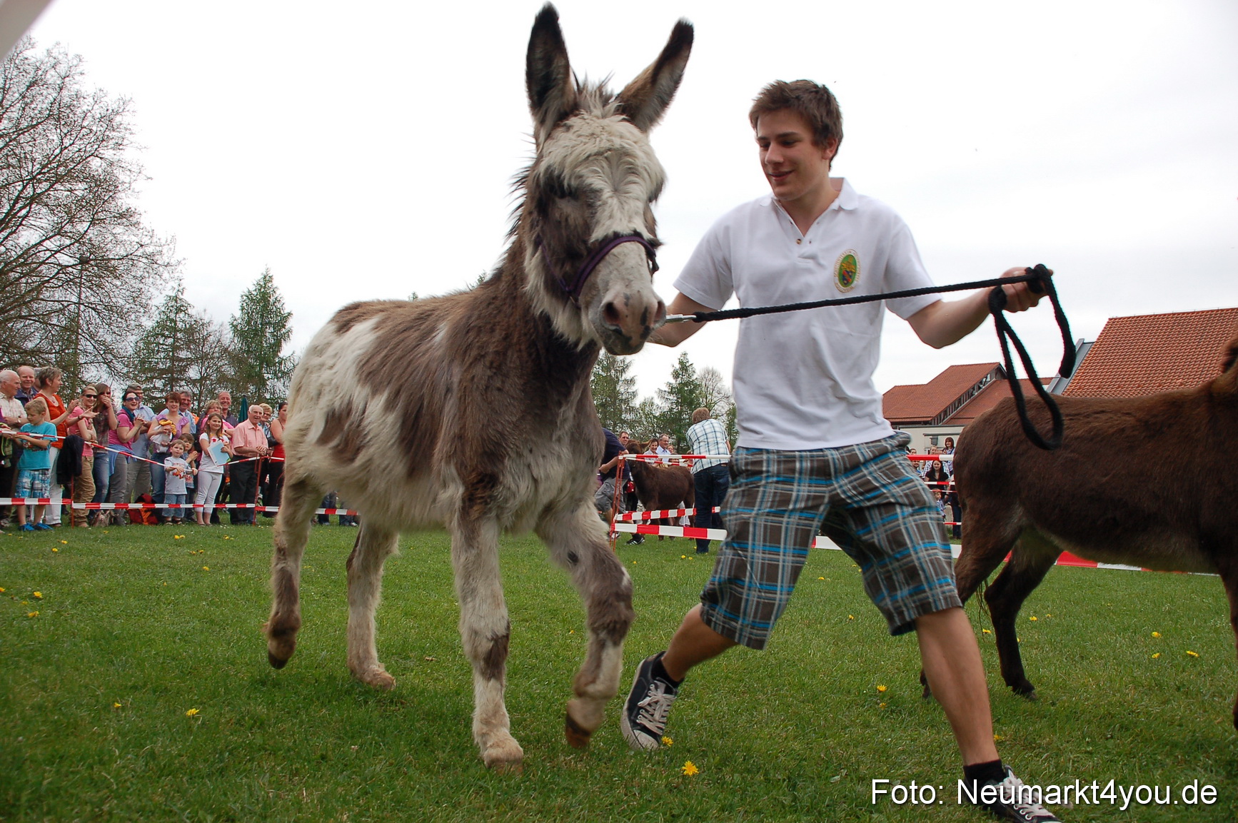 Eselrennen Fruehlingsfest 2012 0145