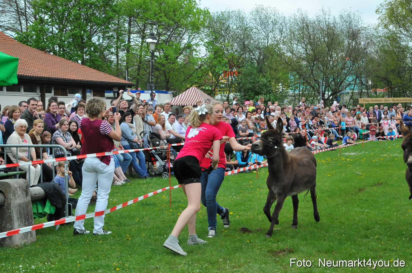 Eselrennen Fruehlingsfest 2012 0146