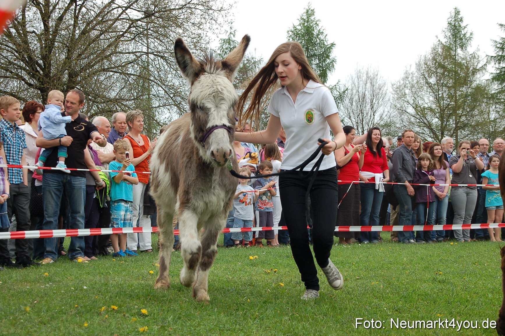 Eselrennen Fruehlingsfest 2012 0147