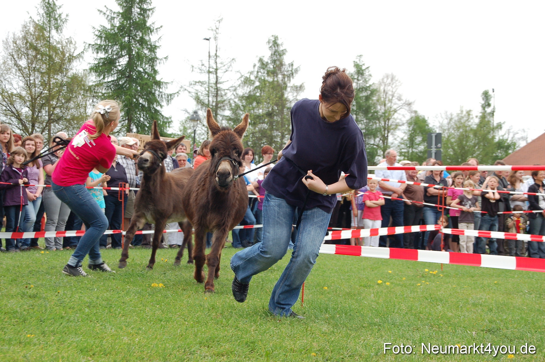 Eselrennen Fruehlingsfest 2012 0151