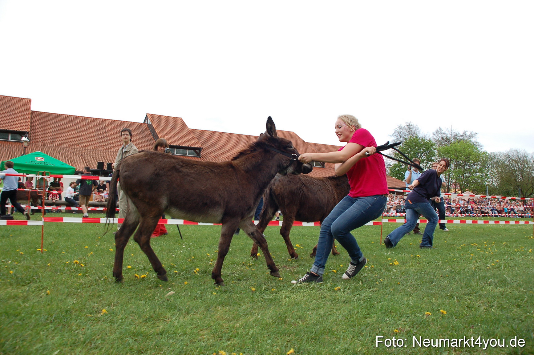 Eselrennen Fruehlingsfest 2012 0152
