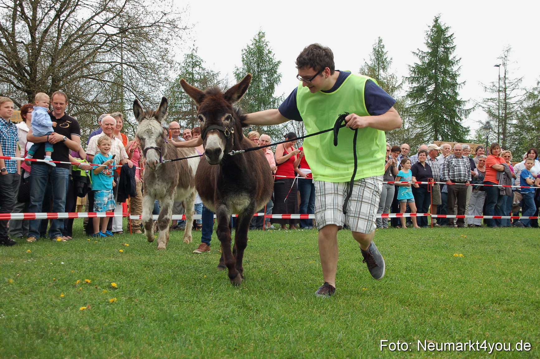 Eselrennen Fruehlingsfest 2012 0155