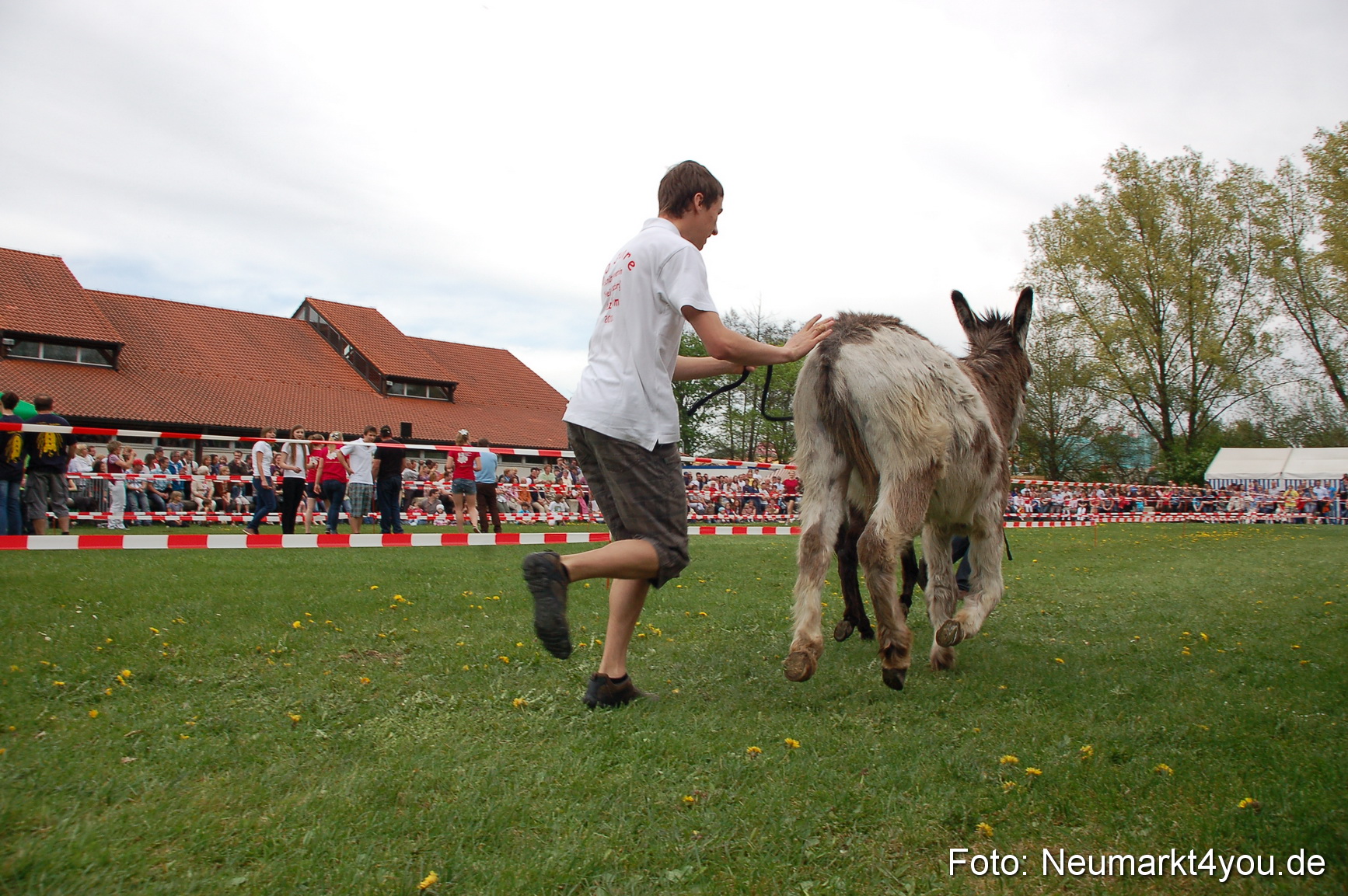 Eselrennen Fruehlingsfest 2012 0157
