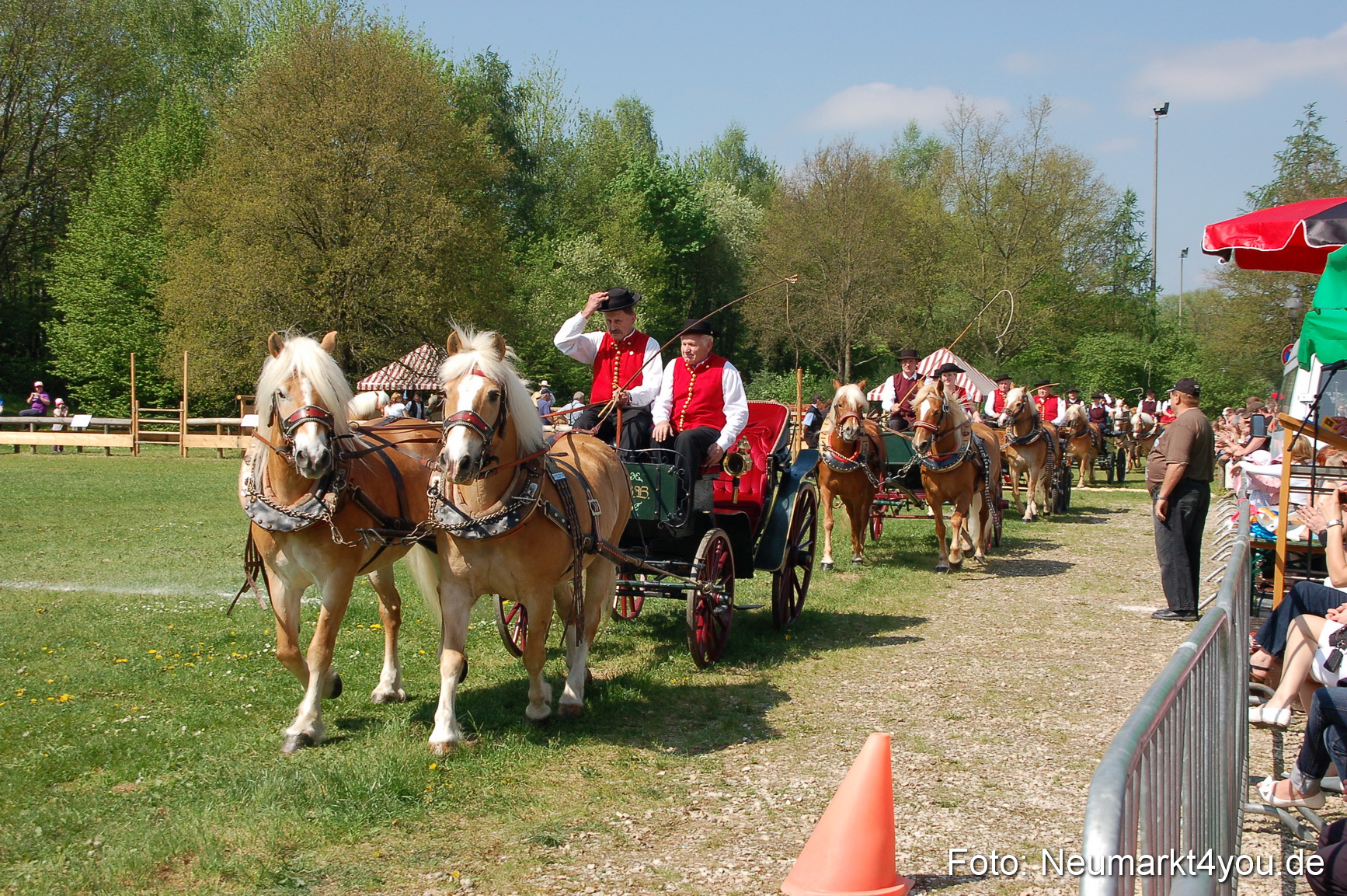 Nordbayerisches Haflingertreffen Neumarkt 010512 0031