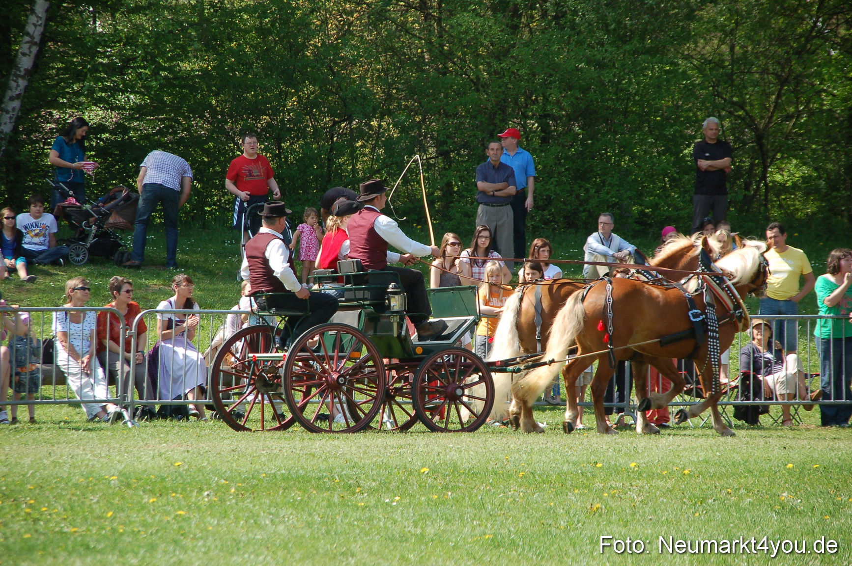 Nordbayerisches Haflingertreffen Neumarkt 010512 0032