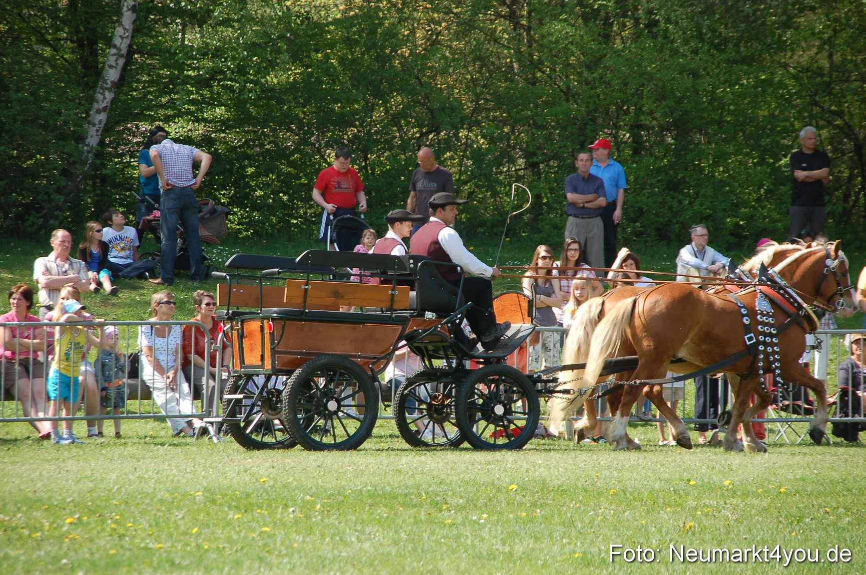 Nordbayerisches Haflingertreffen Neumarkt 010512 0033