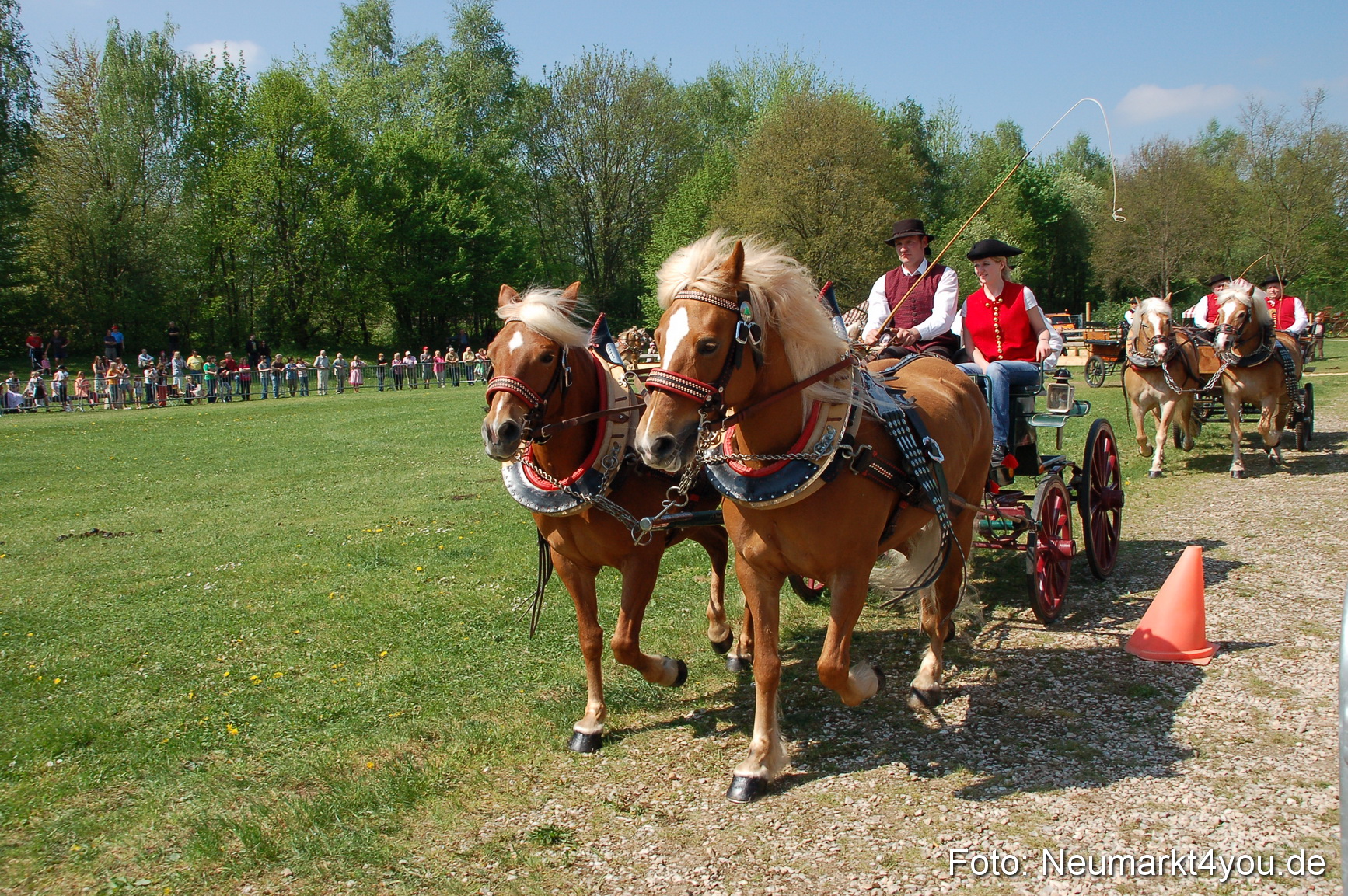 Nordbayerisches Haflingertreffen Neumarkt 010512 0035