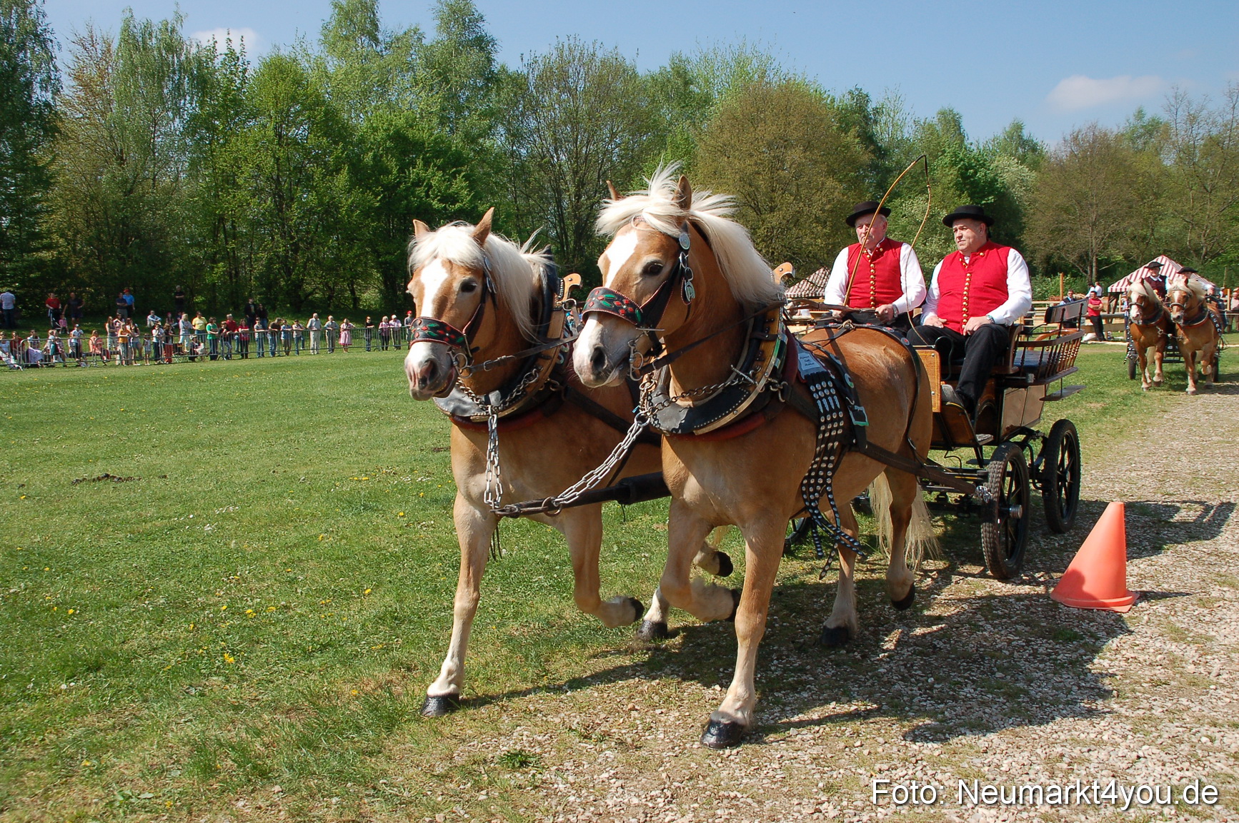 Nordbayerisches Haflingertreffen Neumarkt 010512 0036