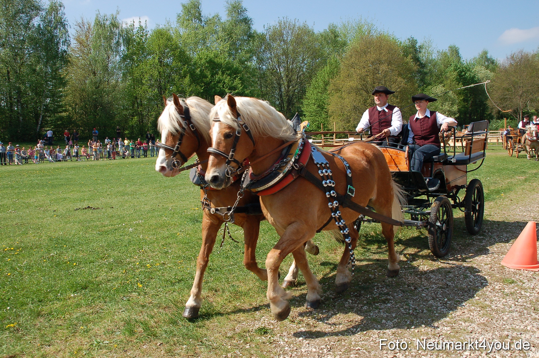 Nordbayerisches Haflingertreffen Neumarkt 010512 0037