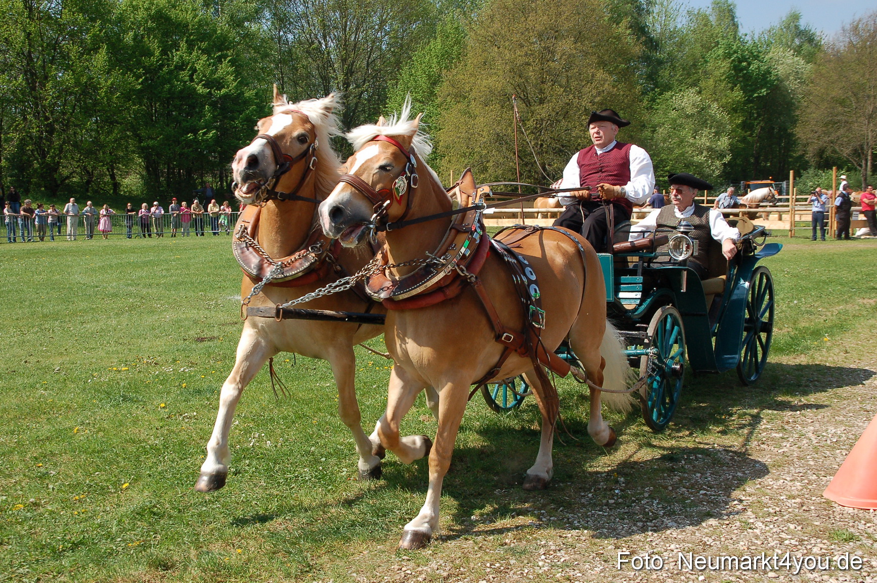 Nordbayerisches Haflingertreffen Neumarkt 010512 0039