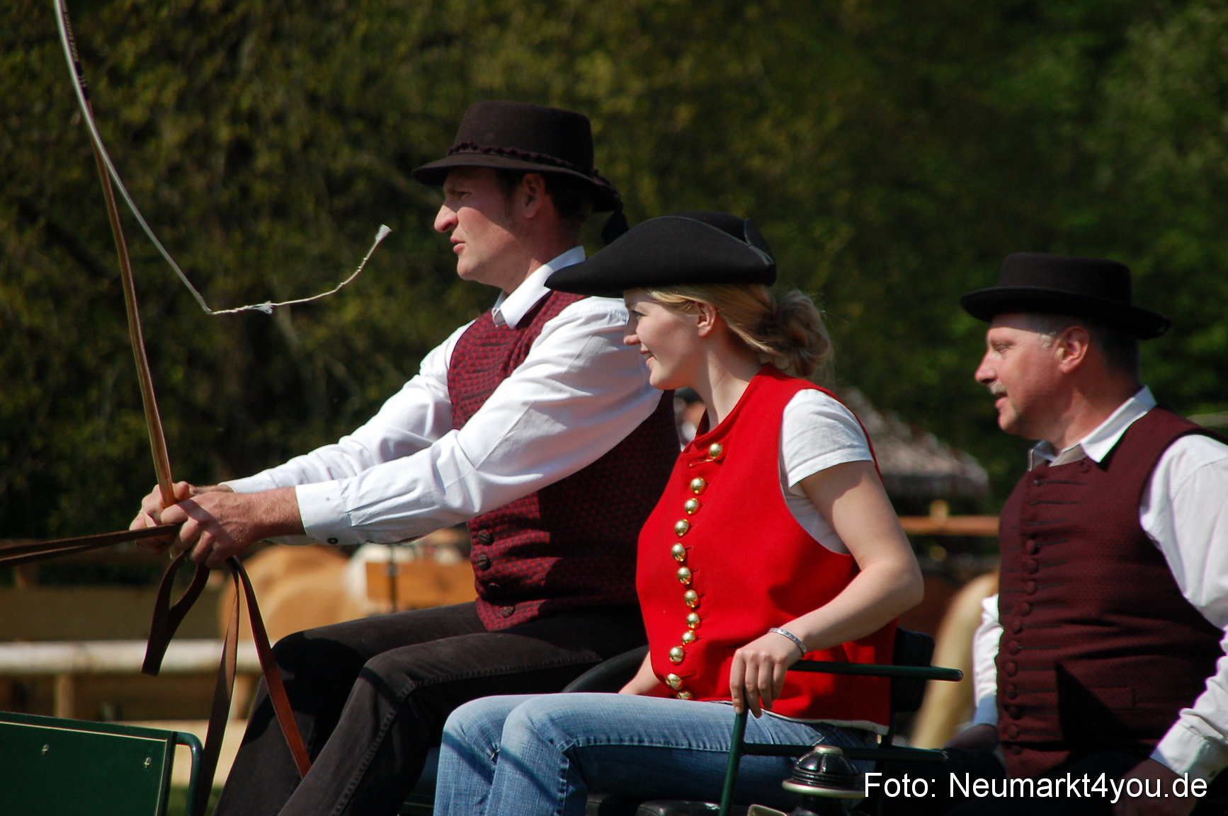 Nordbayerisches Haflingertreffen Neumarkt 010512 0040