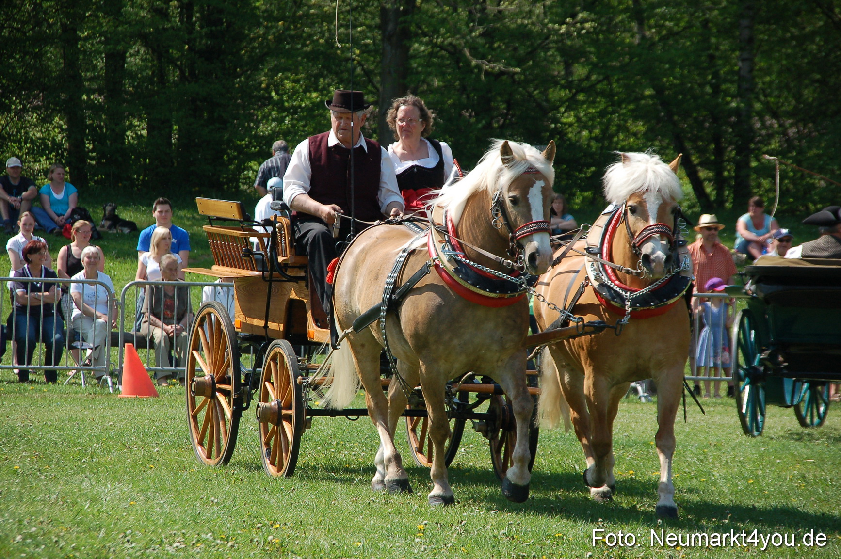 Nordbayerisches Haflingertreffen Neumarkt 010512 0041