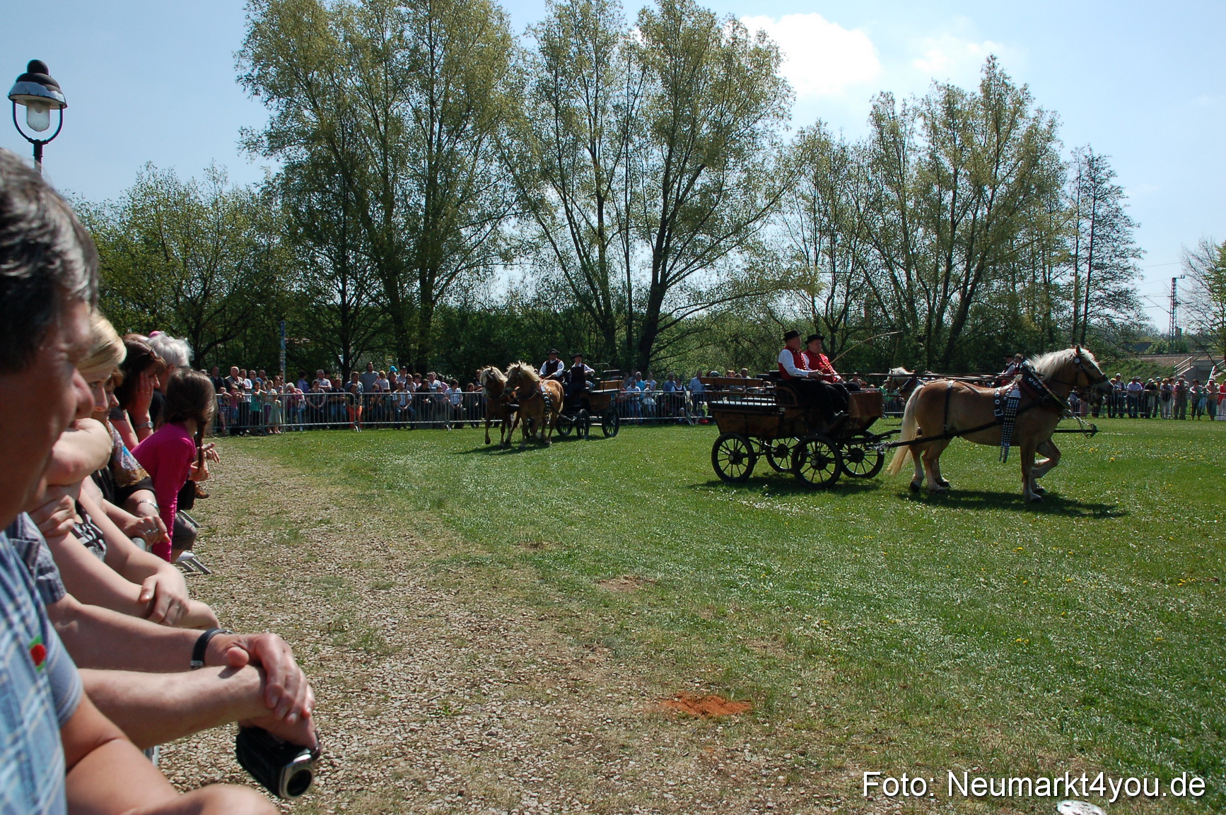 Nordbayerisches Haflingertreffen Neumarkt 010512 0044