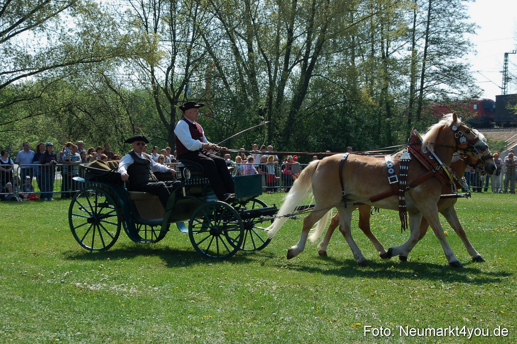 Nordbayerisches Haflingertreffen Neumarkt 010512 0045