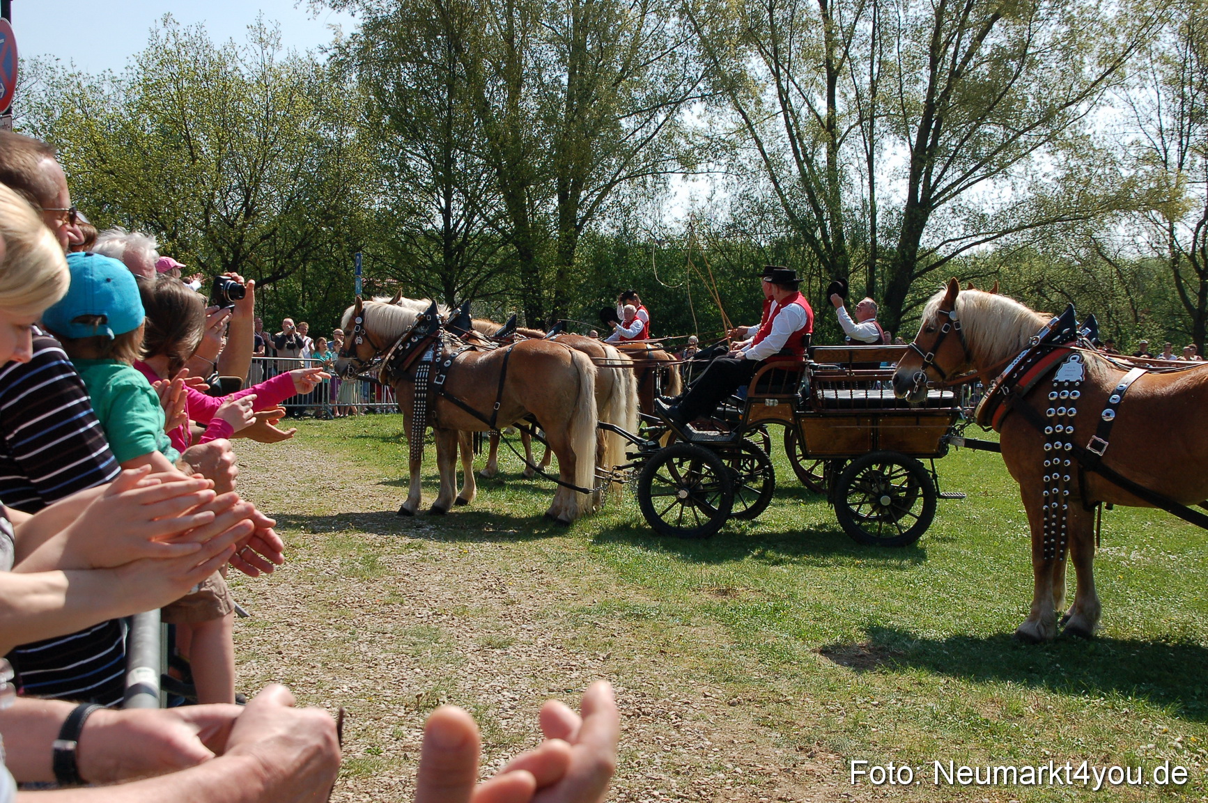 Nordbayerisches Haflingertreffen Neumarkt 010512 0046