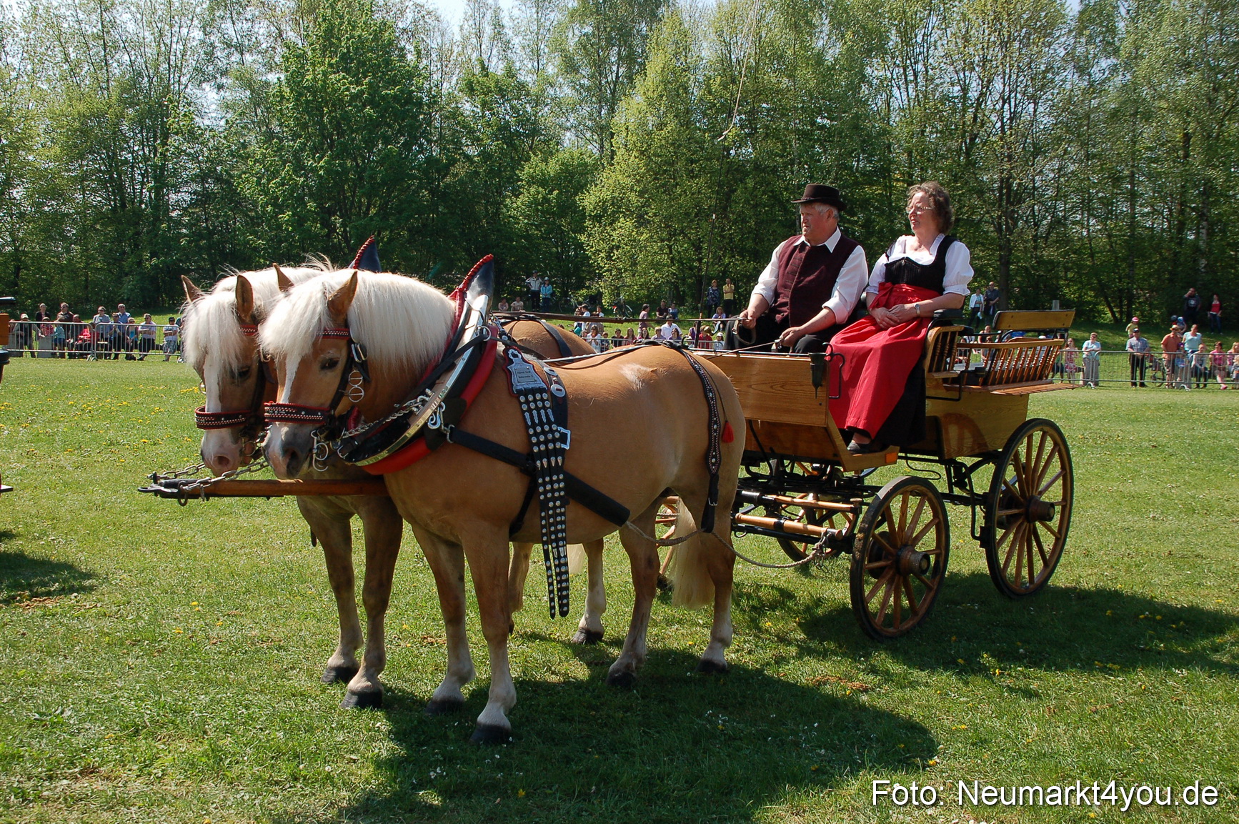 Nordbayerisches Haflingertreffen Neumarkt 010512 0047
