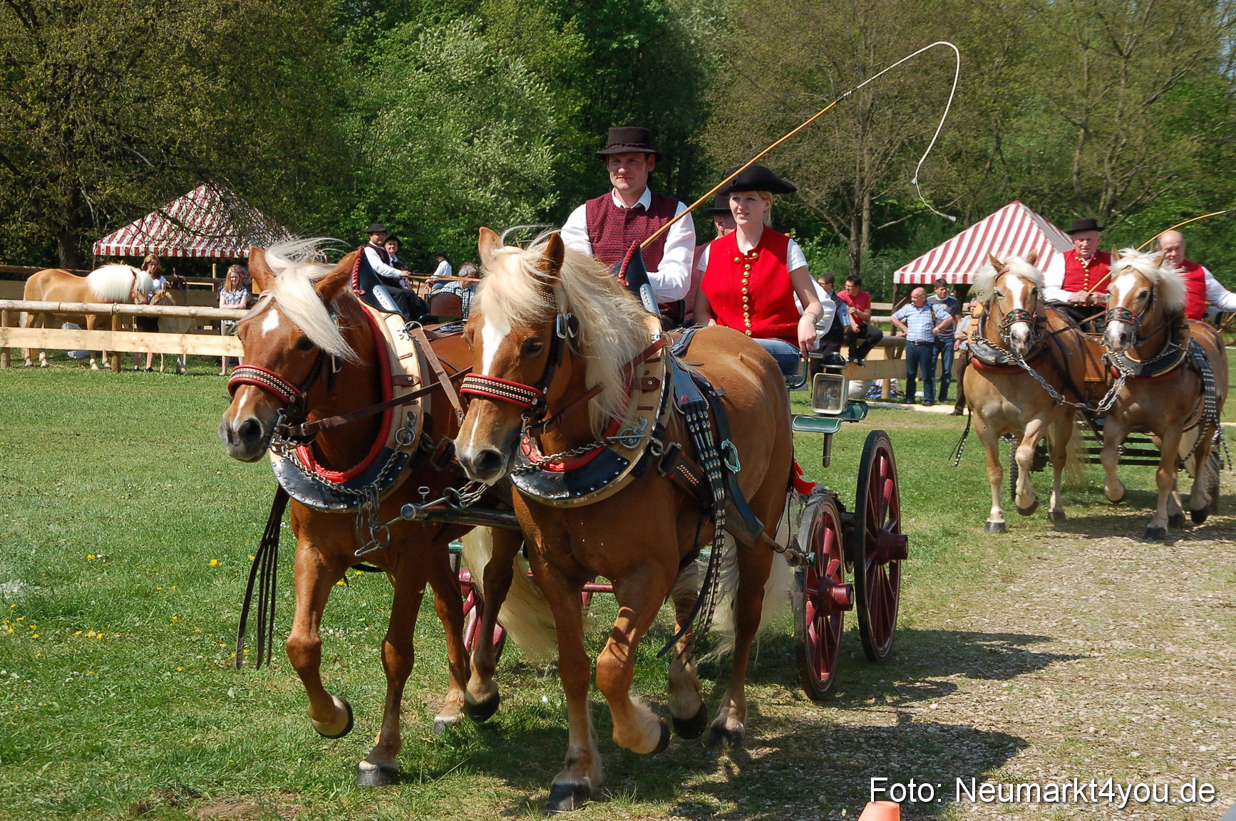 Nordbayerisches Haflingertreffen Neumarkt 010512 0048