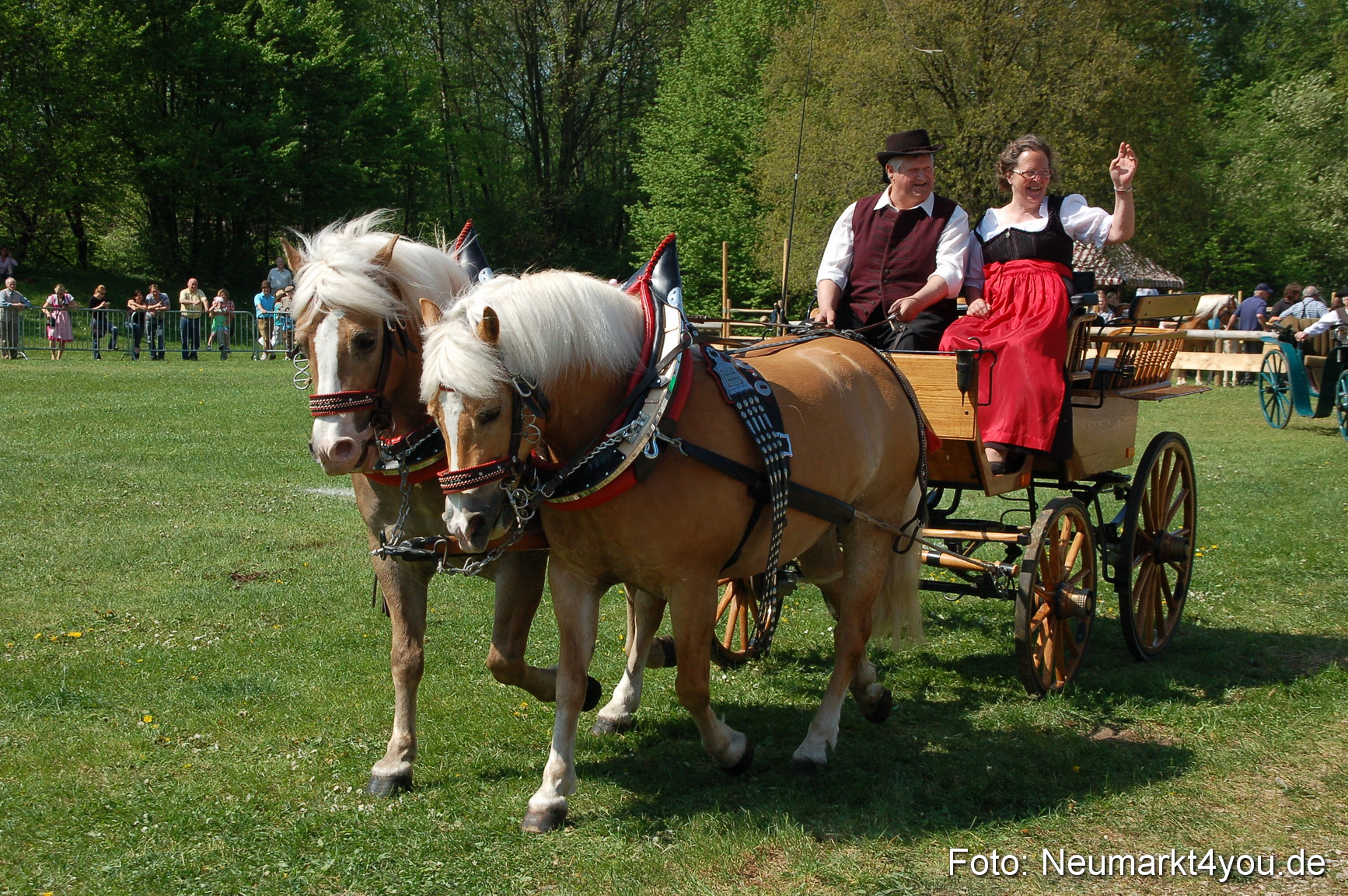 Nordbayerisches Haflingertreffen Neumarkt 010512 0049