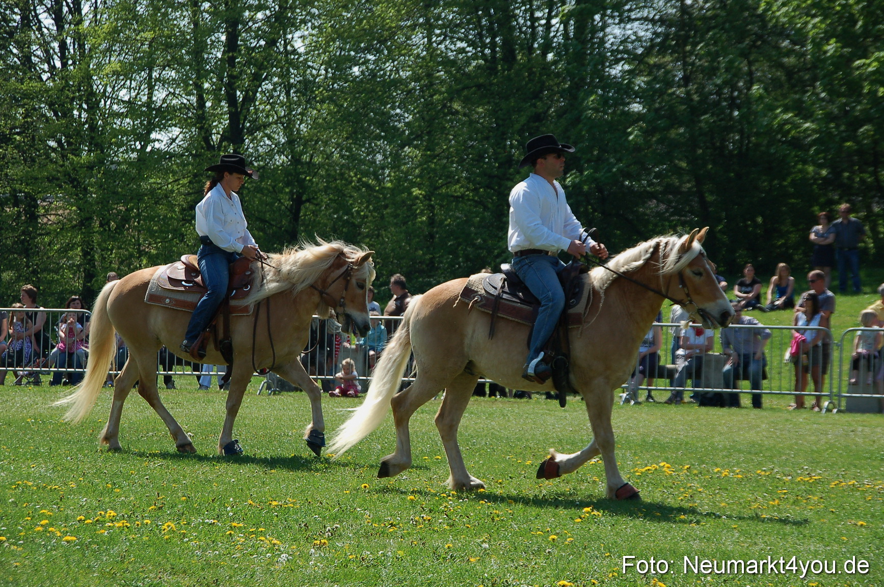 Nordbayerisches Haflingertreffen Neumarkt 010512 0050