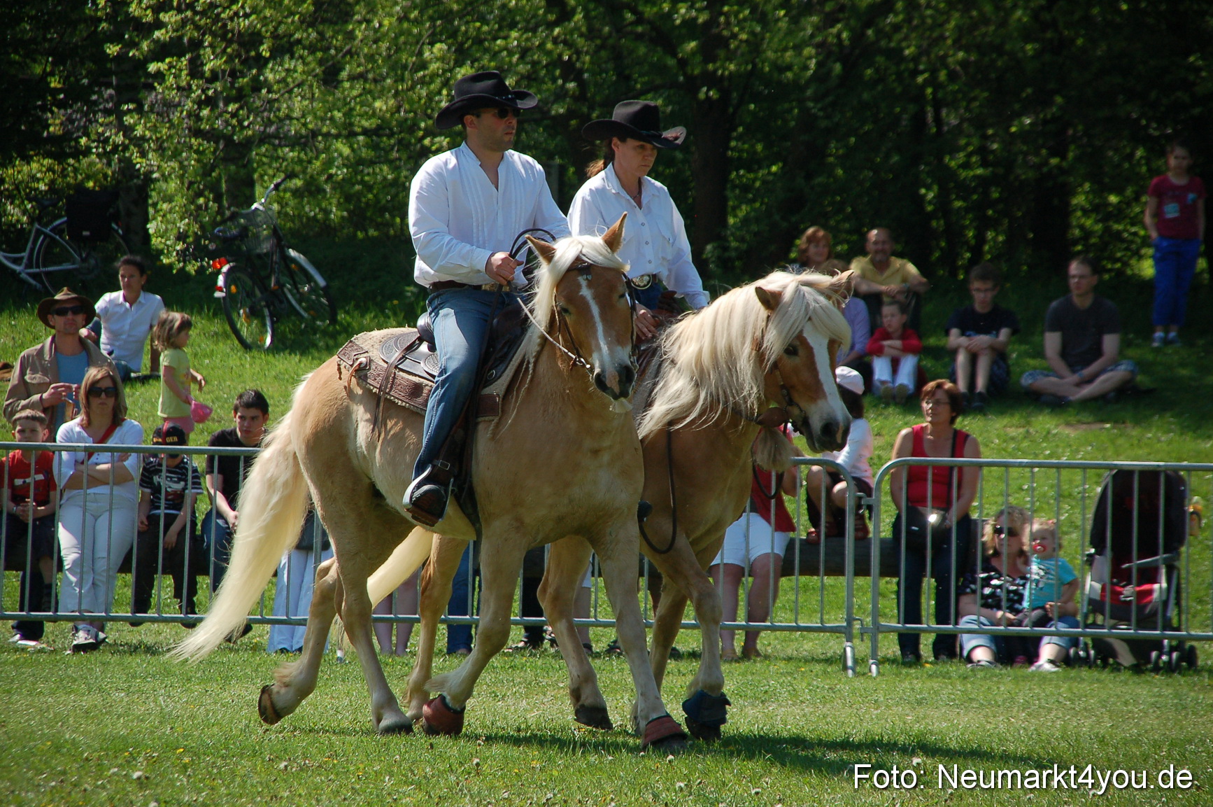 Nordbayerisches Haflingertreffen Neumarkt 010512 0051