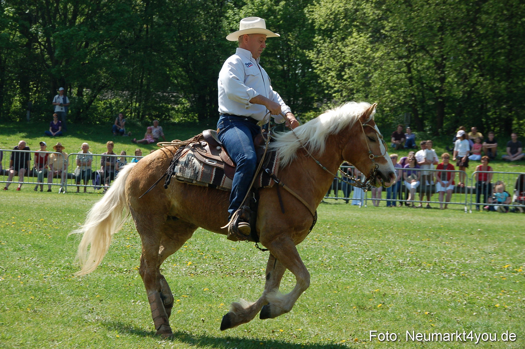 Nordbayerisches Haflingertreffen Neumarkt 010512 0052