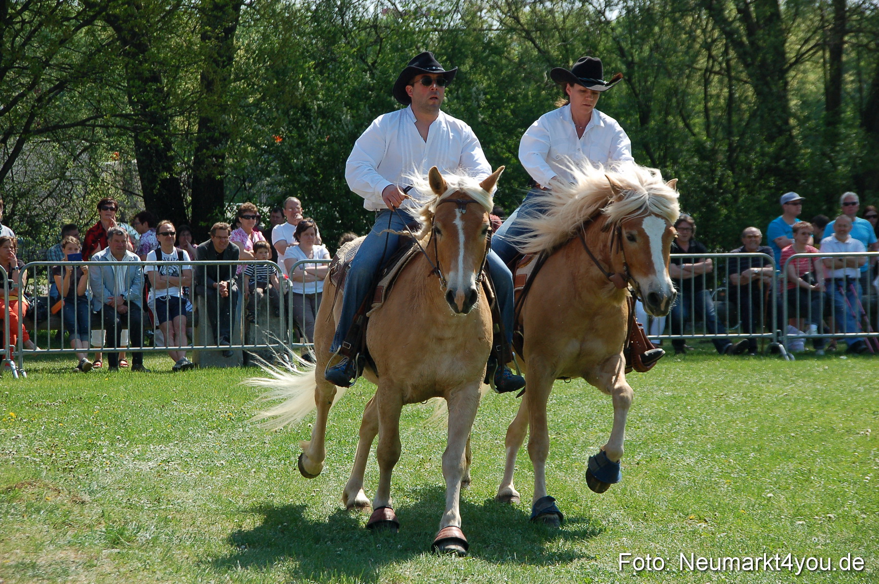Nordbayerisches Haflingertreffen Neumarkt 010512 0053