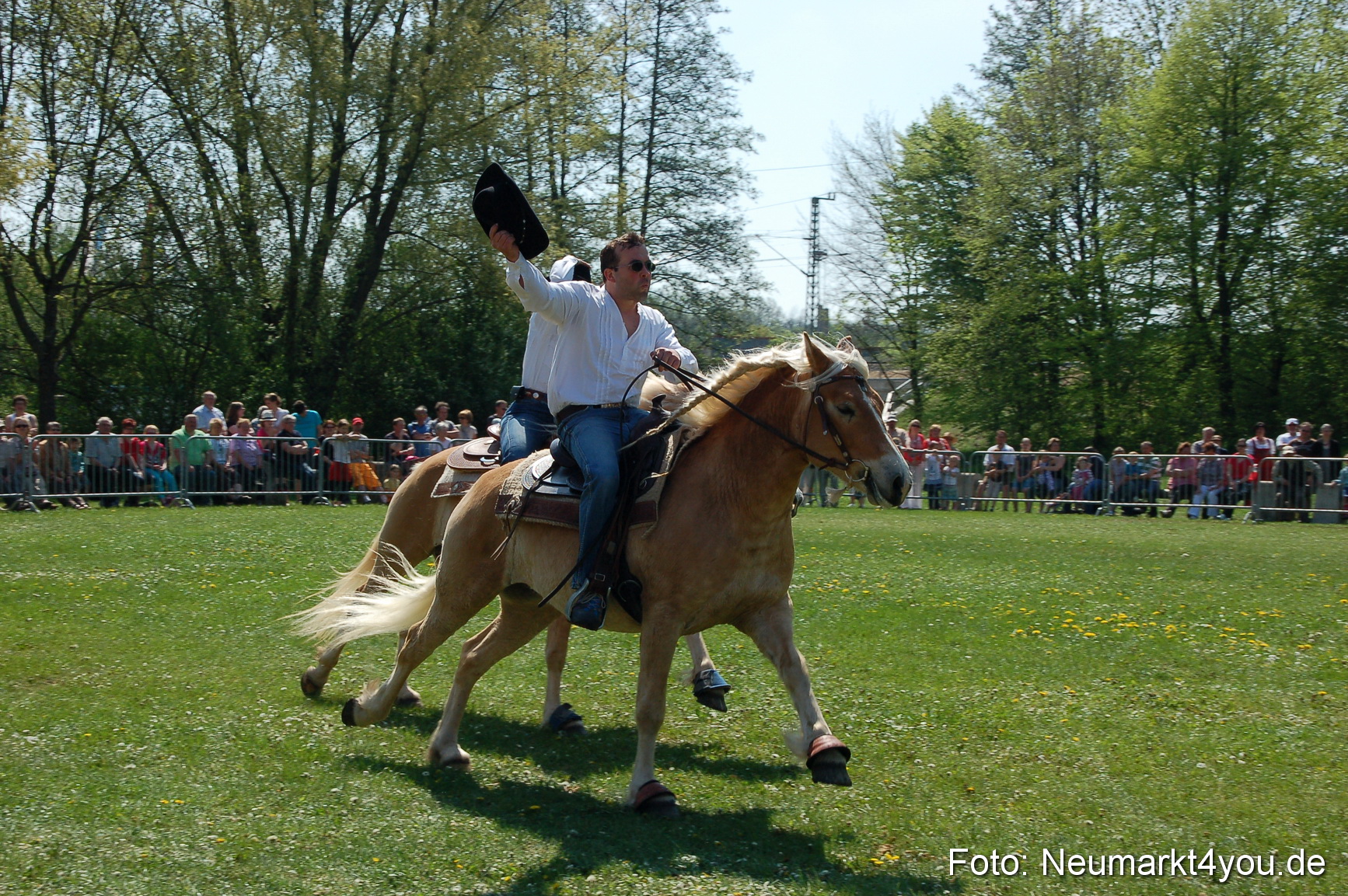 Nordbayerisches Haflingertreffen Neumarkt 010512 0054