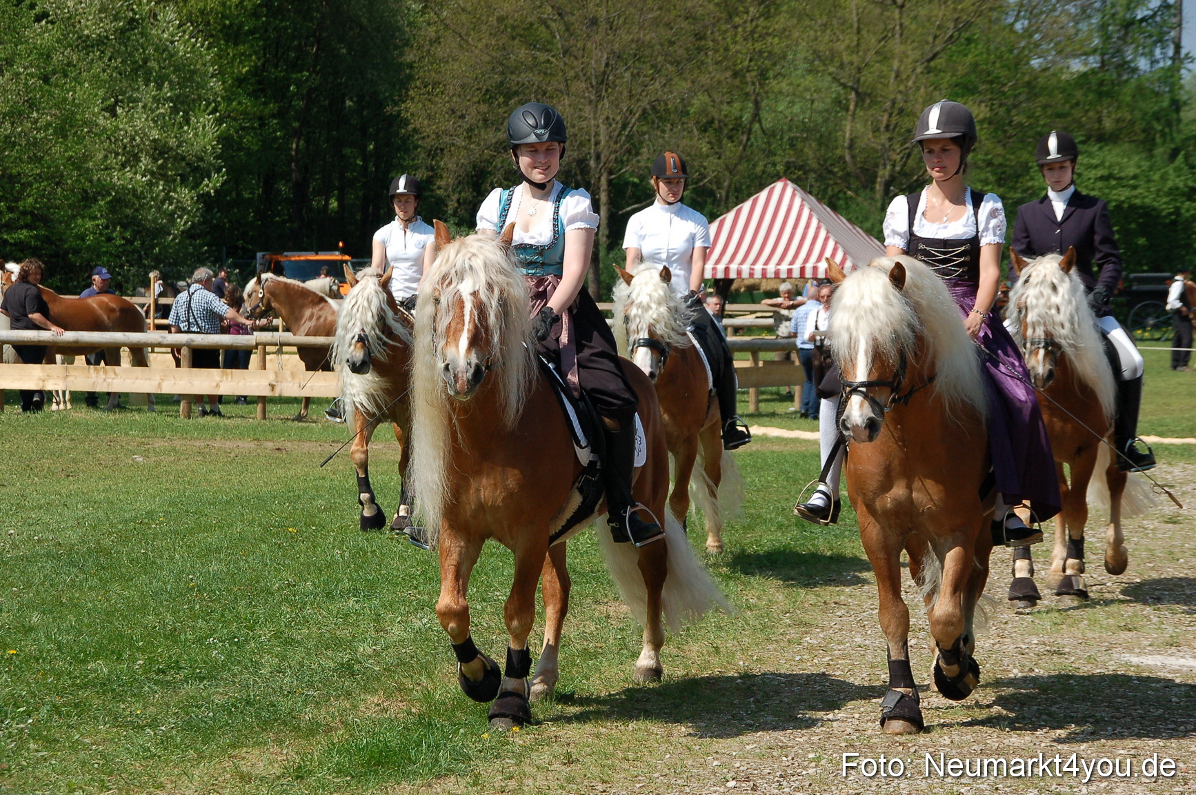 Nordbayerisches Haflingertreffen Neumarkt 010512 0055