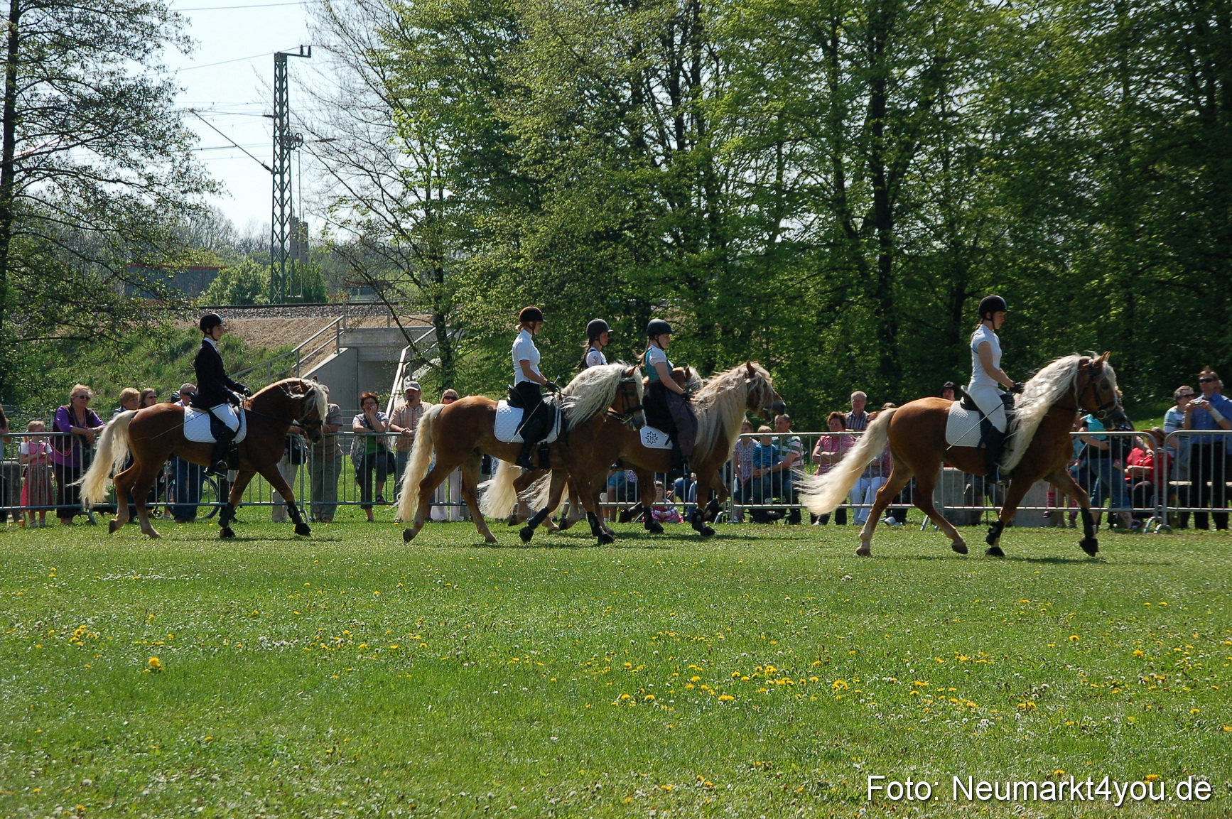 Nordbayerisches Haflingertreffen Neumarkt 010512 0056