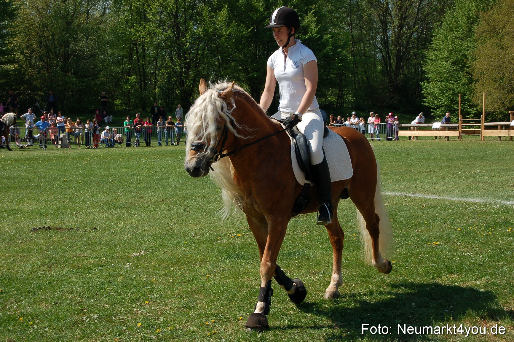 Nordbayerisches Haflingertreffen Neumarkt 010512 0057