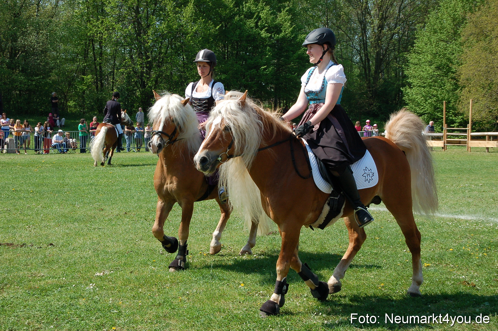 Nordbayerisches Haflingertreffen Neumarkt 010512 0058