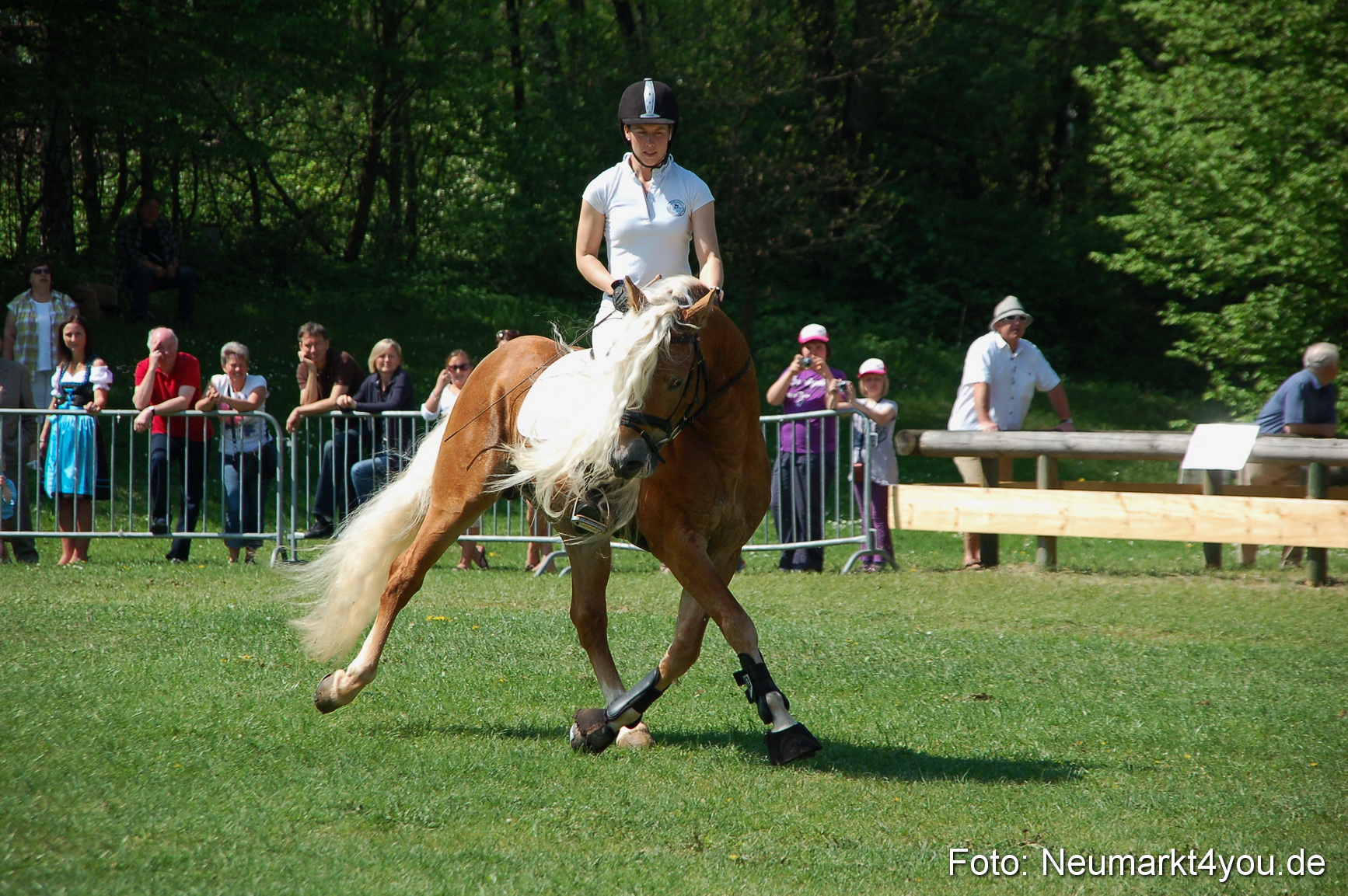 Nordbayerisches Haflingertreffen Neumarkt 010512 0059
