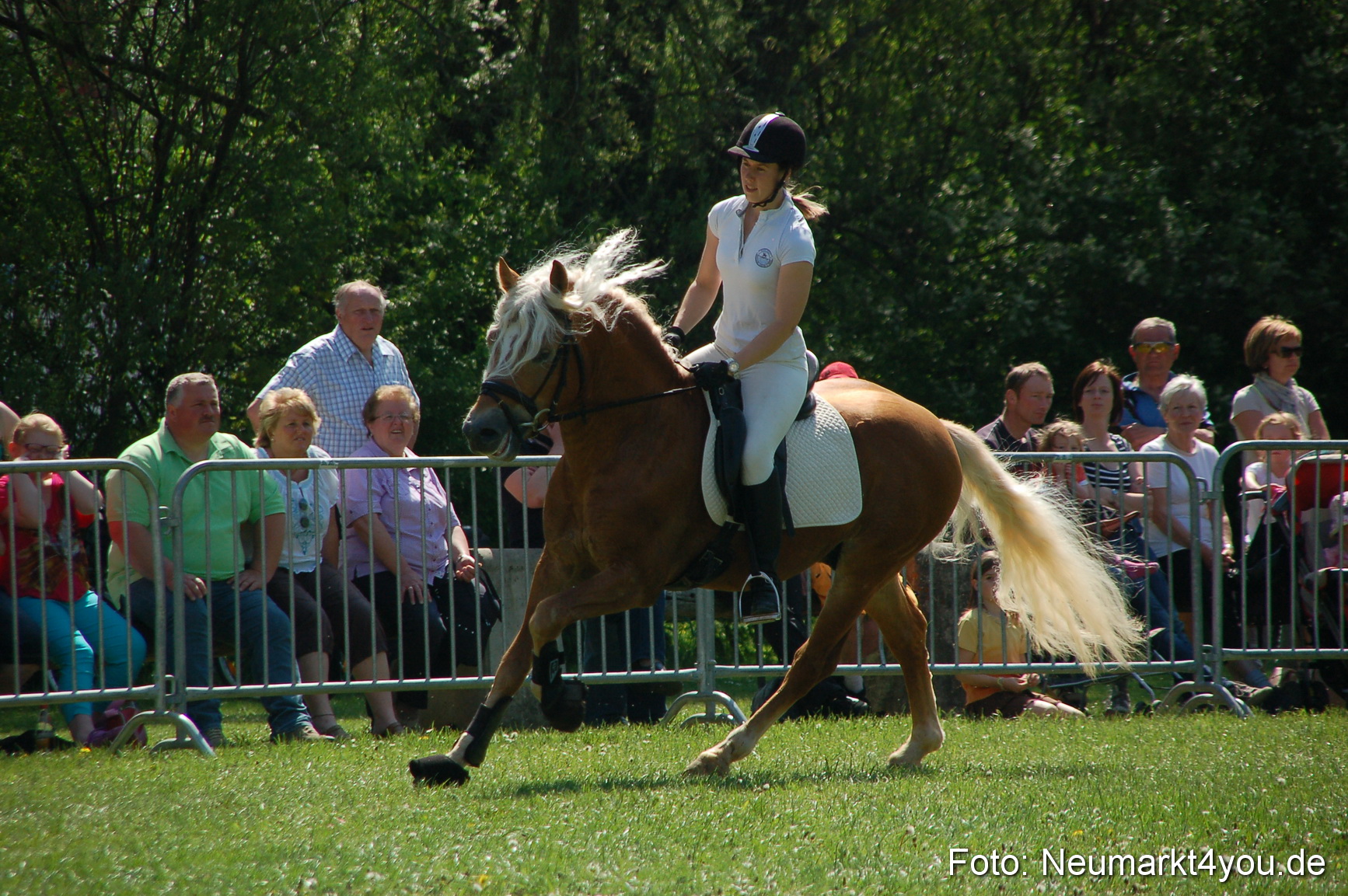 Nordbayerisches Haflingertreffen Neumarkt 010512 0060