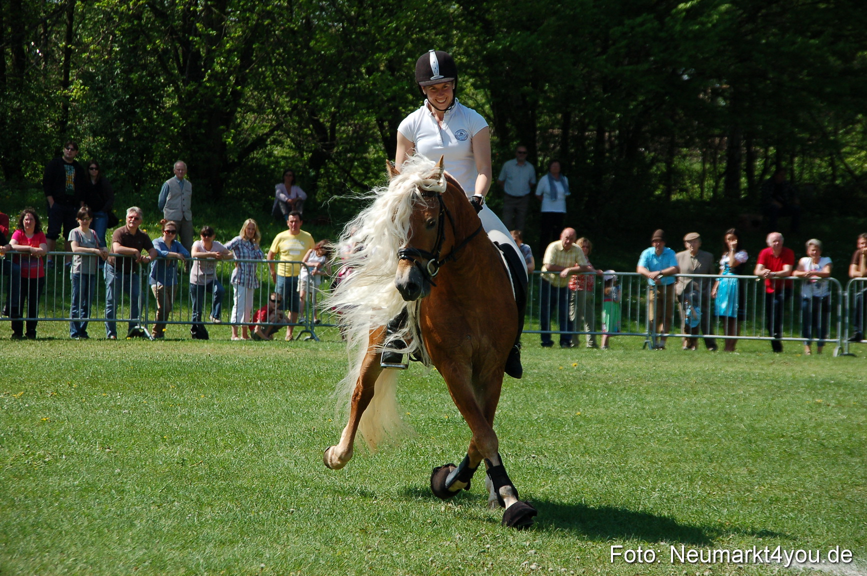 Nordbayerisches Haflingertreffen Neumarkt 010512 0061