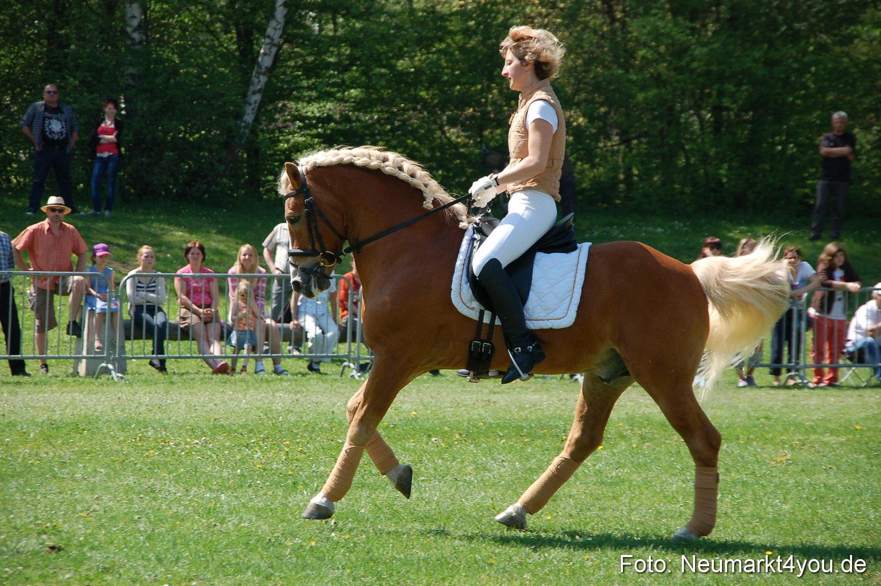 Nordbayerisches Haflingertreffen Neumarkt 010512 0071