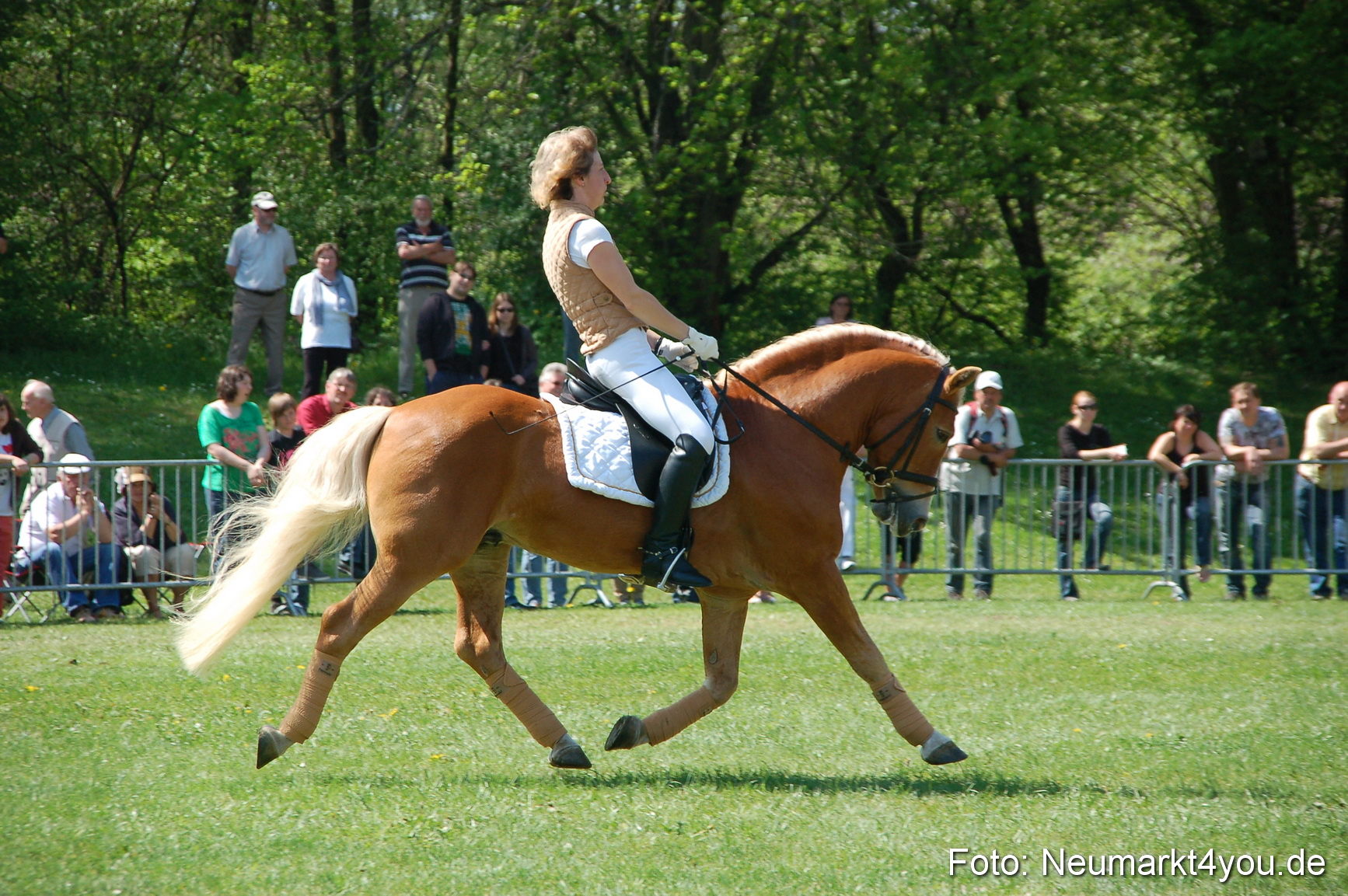 Nordbayerisches Haflingertreffen Neumarkt 010512 0073