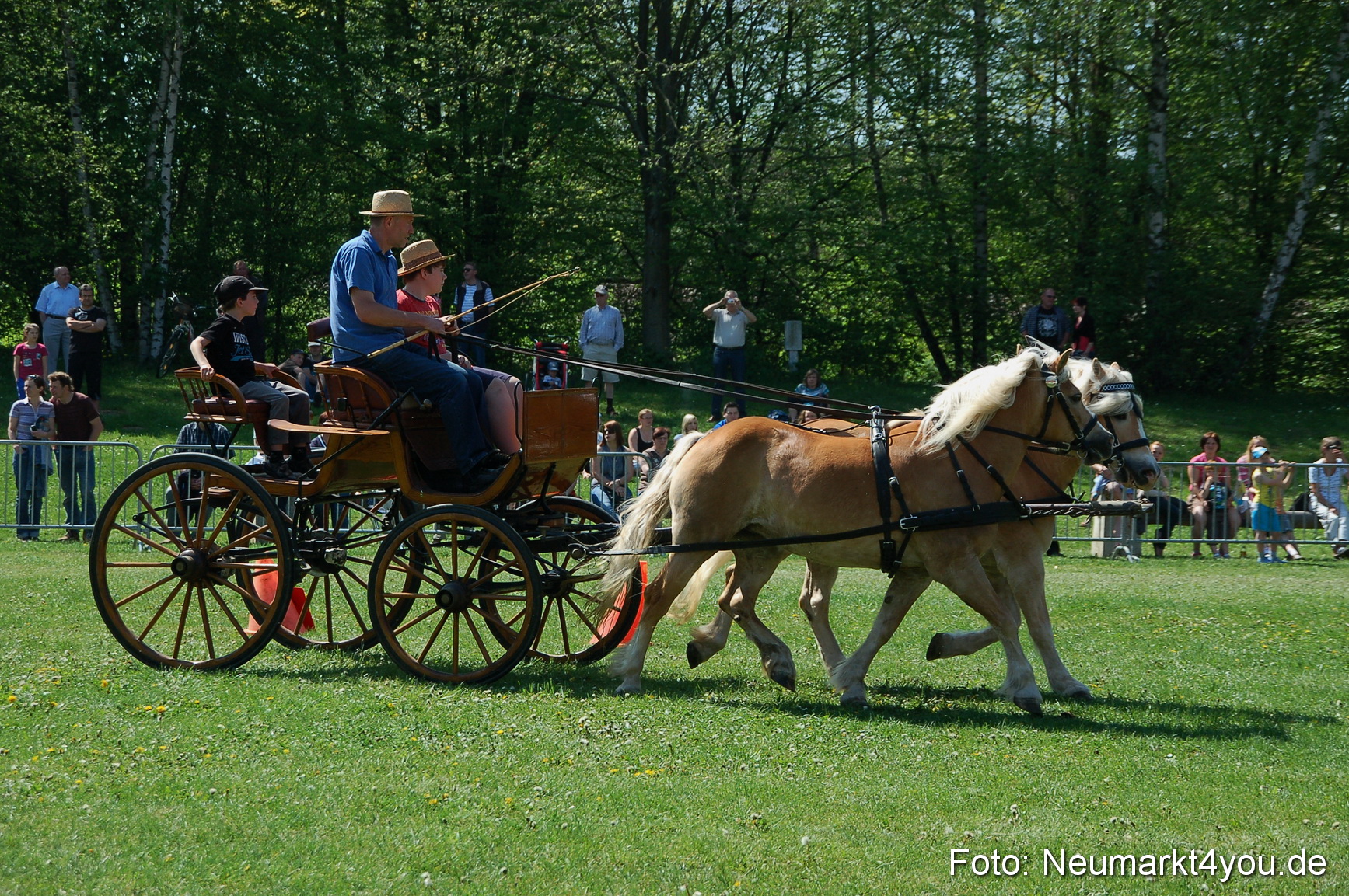 Nordbayerisches Haflingertreffen Neumarkt 010512 0074