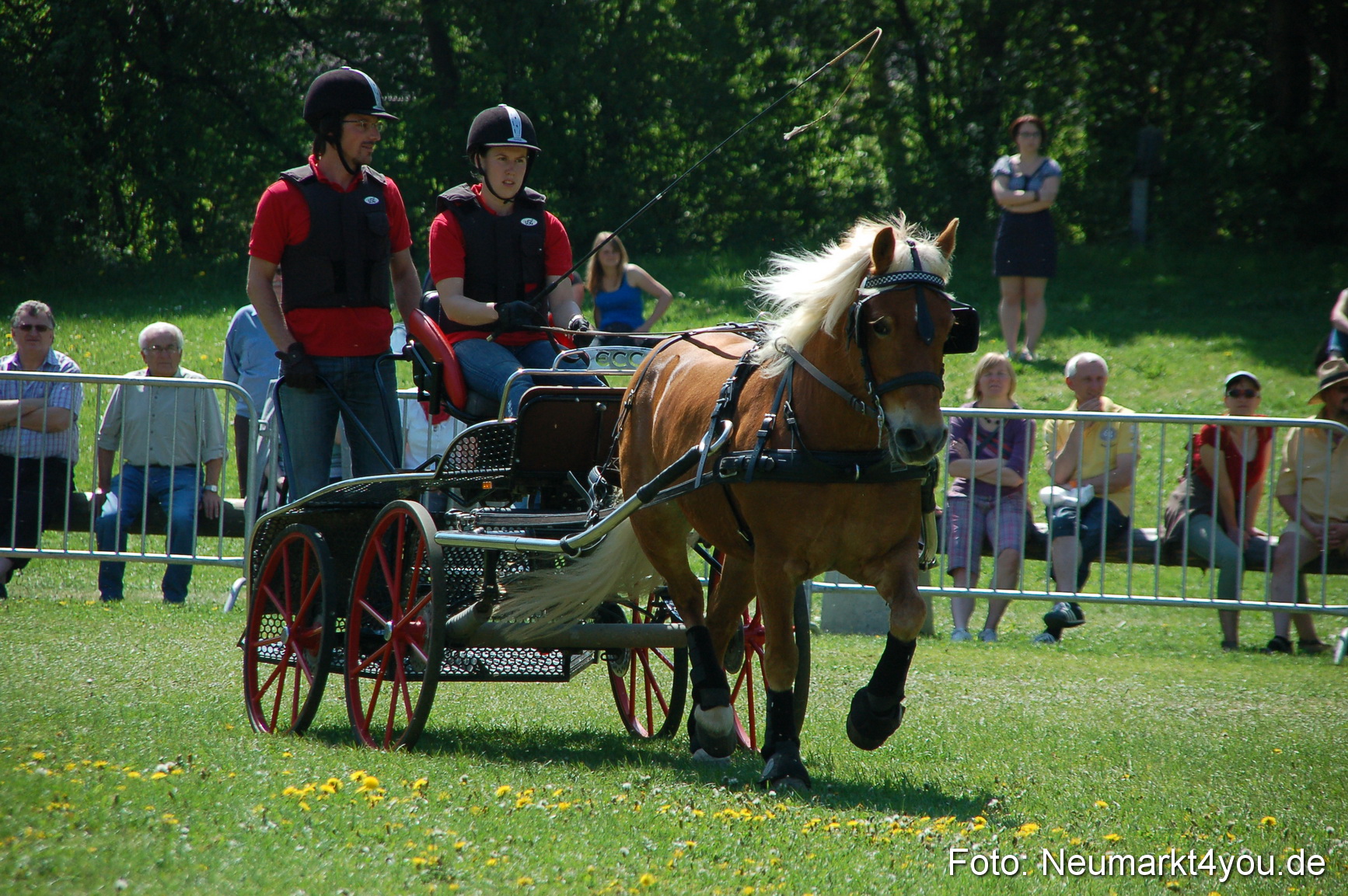Nordbayerisches Haflingertreffen Neumarkt 010512 0075