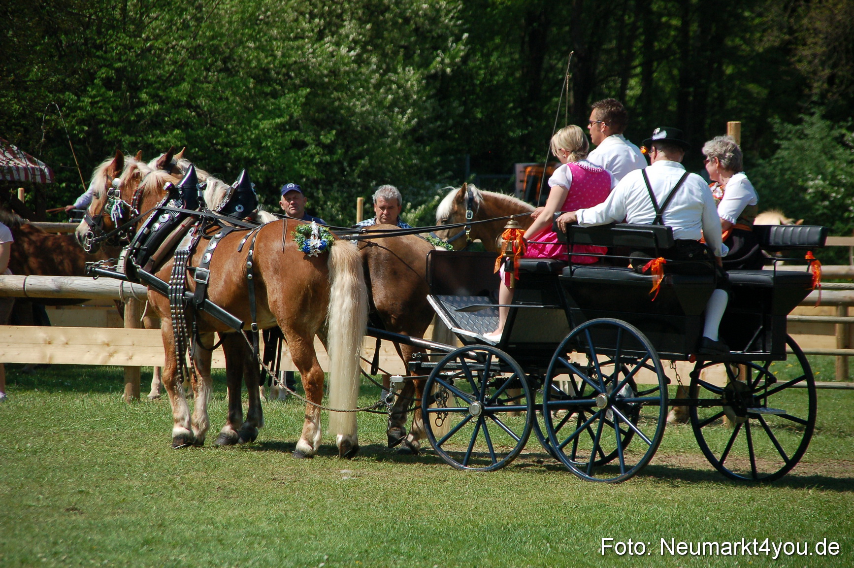 Nordbayerisches Haflingertreffen Neumarkt 010512 0077