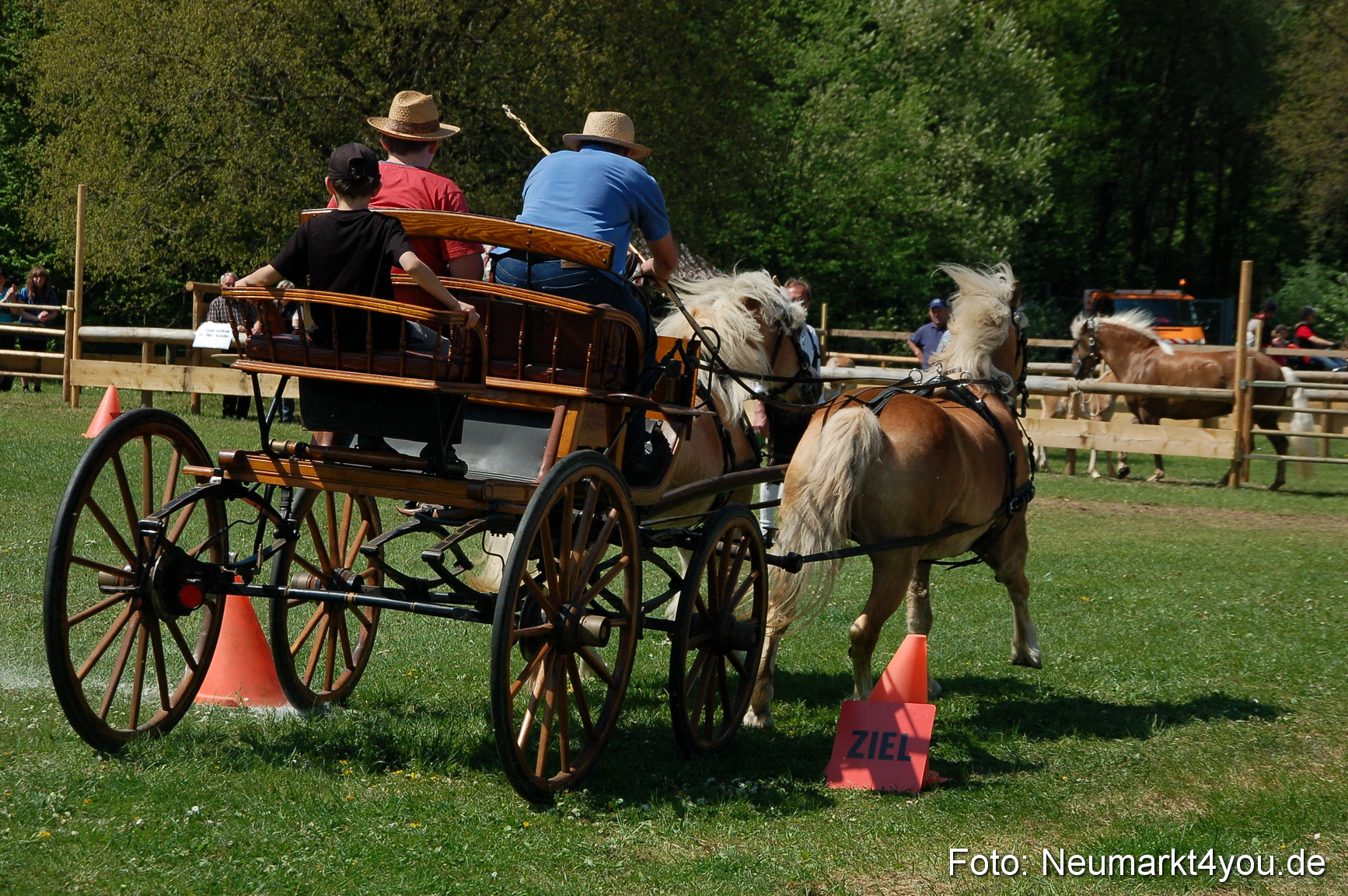 Nordbayerisches Haflingertreffen Neumarkt 010512 0080