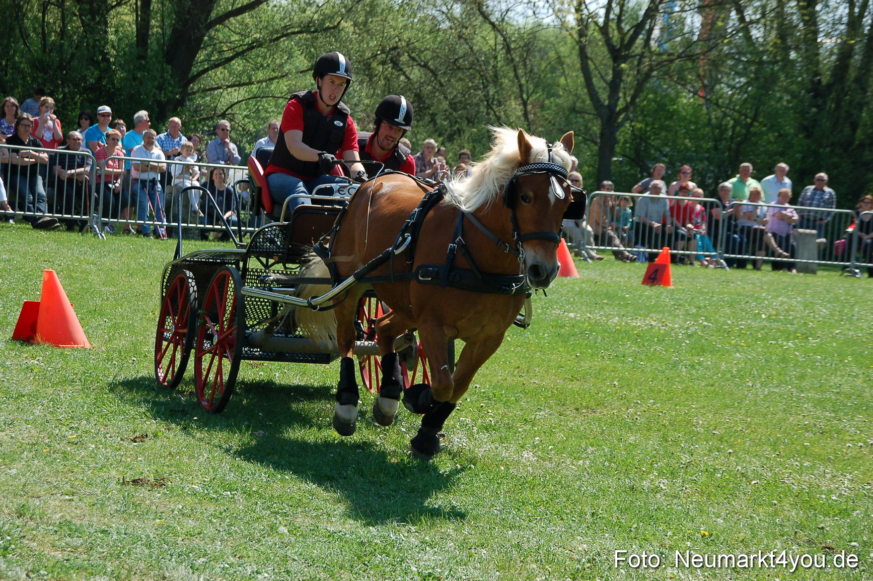 Nordbayerisches Haflingertreffen Neumarkt 010512 0081