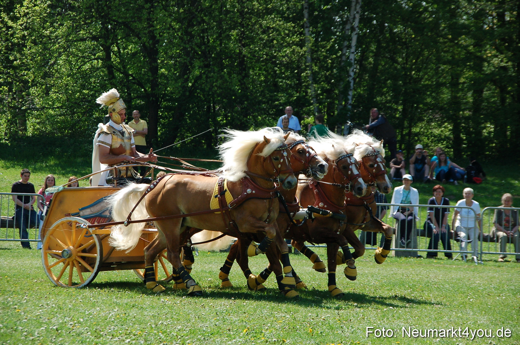 Nordbayerisches Haflingertreffen Neumarkt 010512 0083