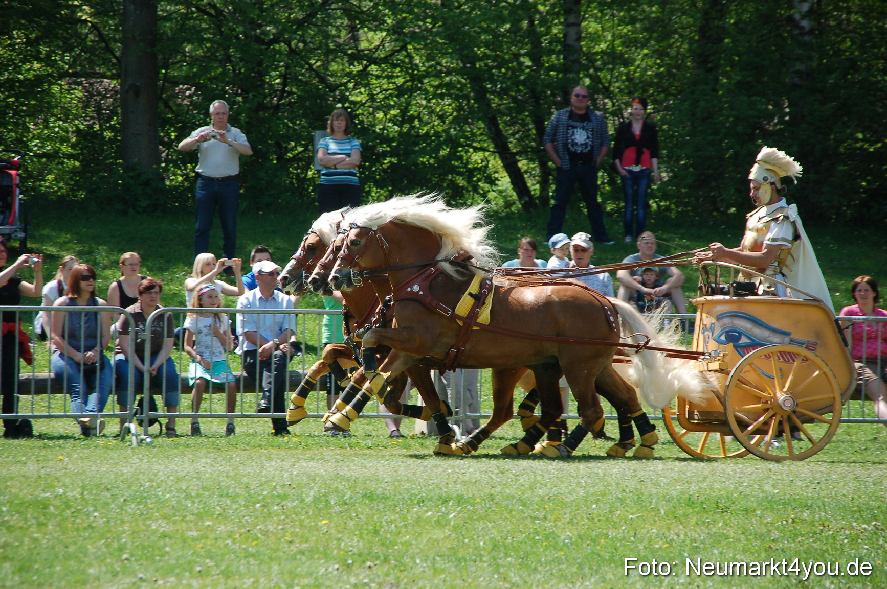 Nordbayerisches Haflingertreffen Neumarkt 010512 0084