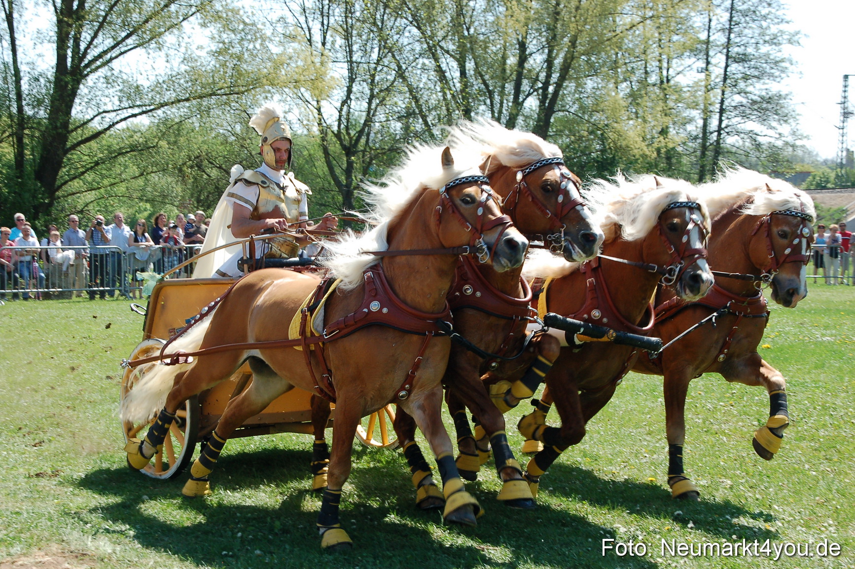 Nordbayerisches Haflingertreffen Neumarkt 010512 0085