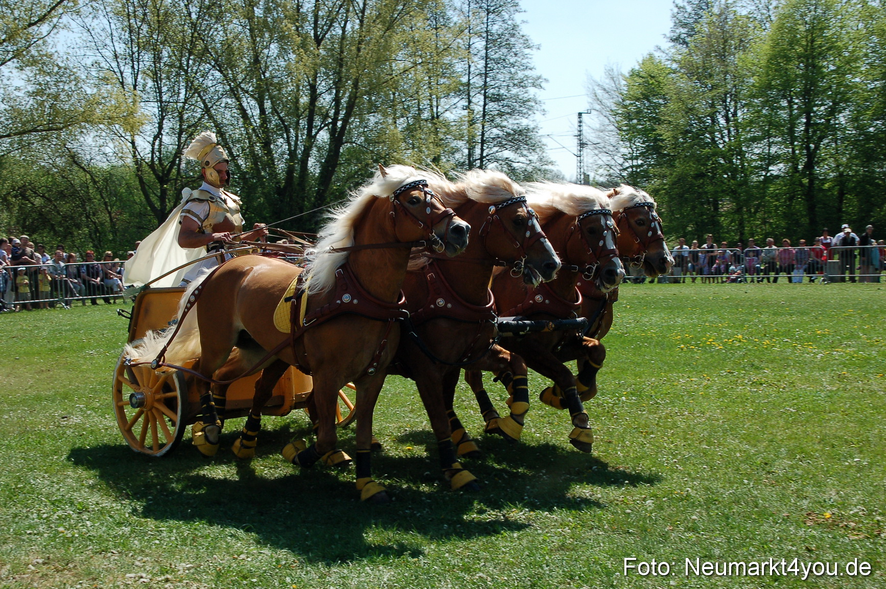 Nordbayerisches Haflingertreffen Neumarkt 010512 0086